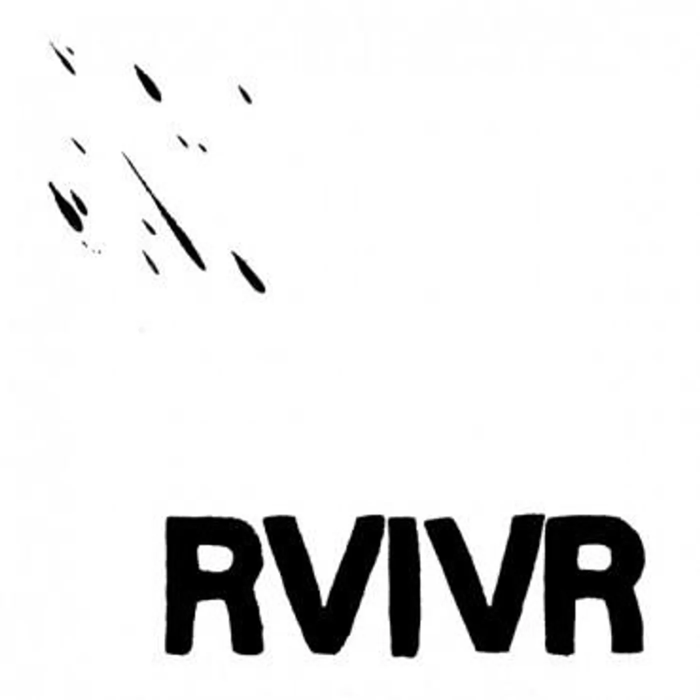 RVIVR Vinyl Record