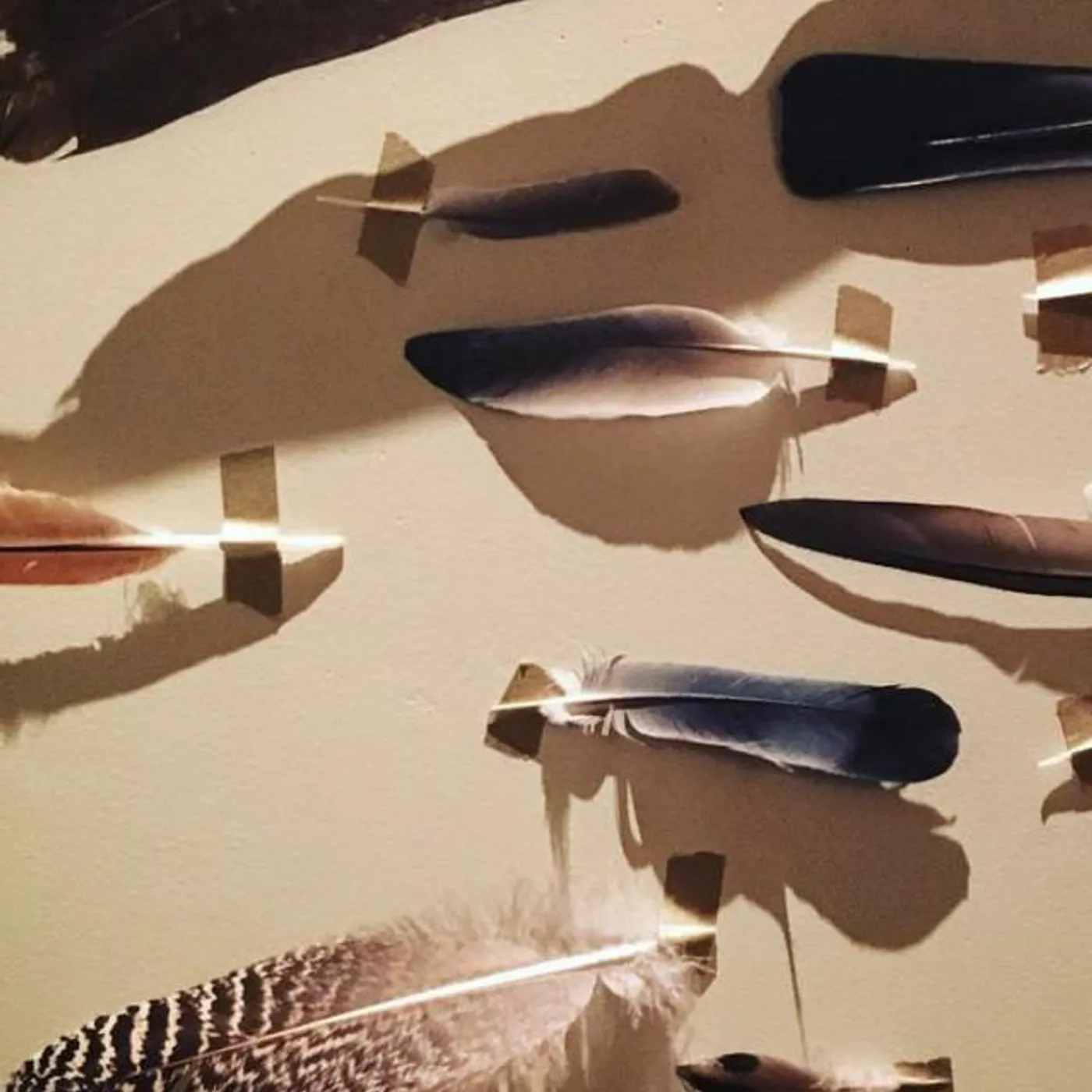 1 Mile North Brand Page