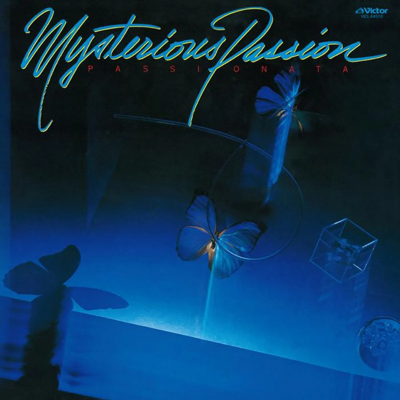 パッショナータ