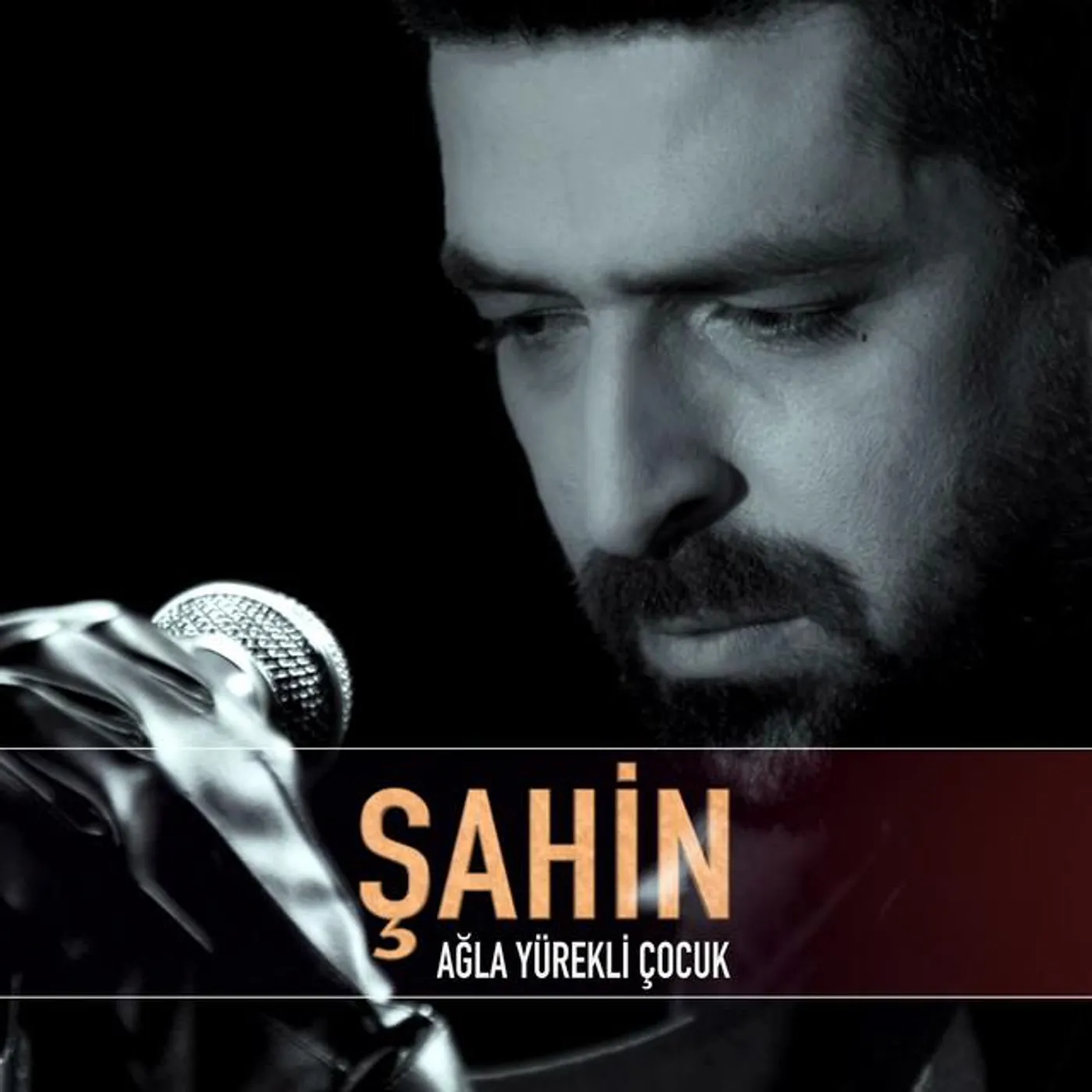 Şahin