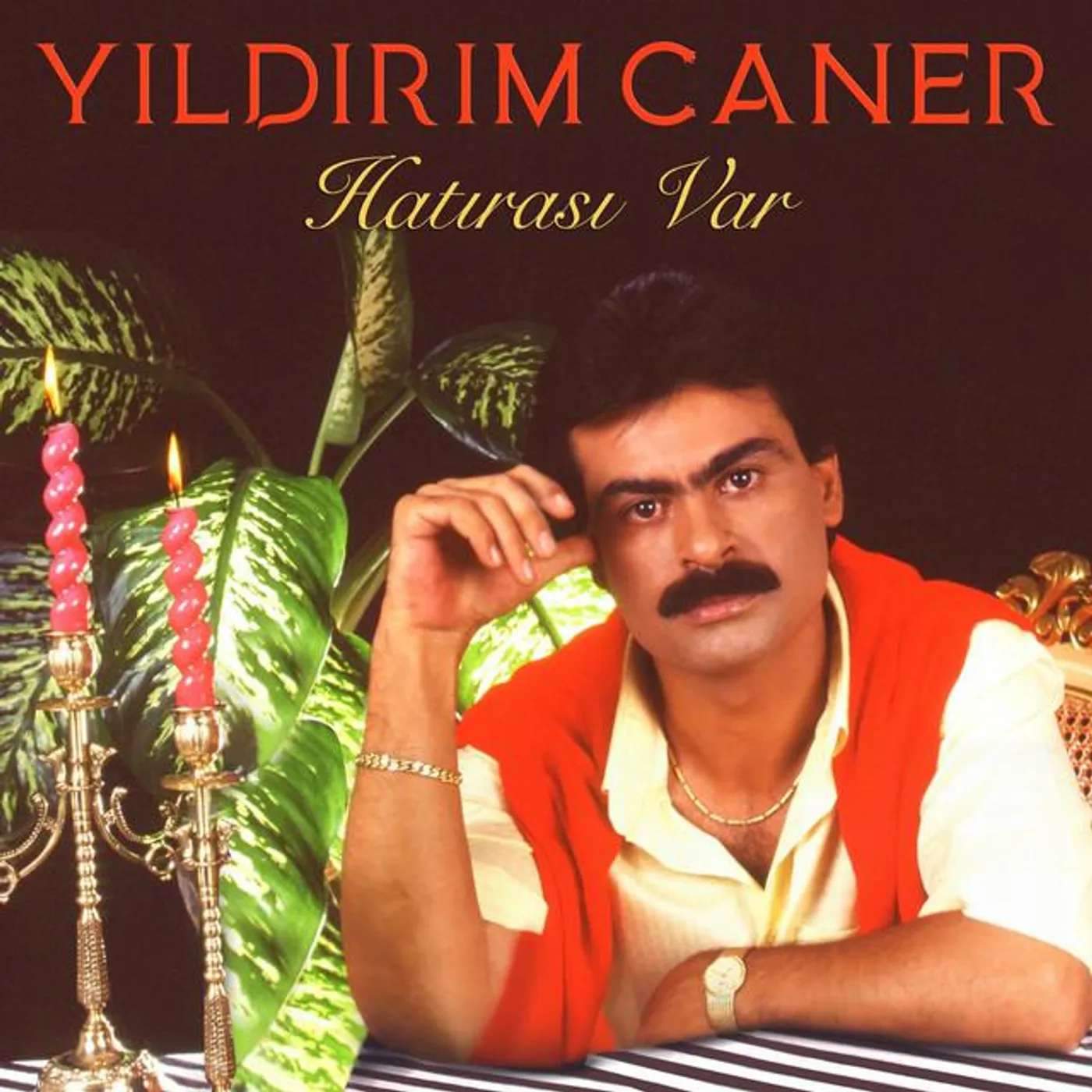 Yıldırım Caner