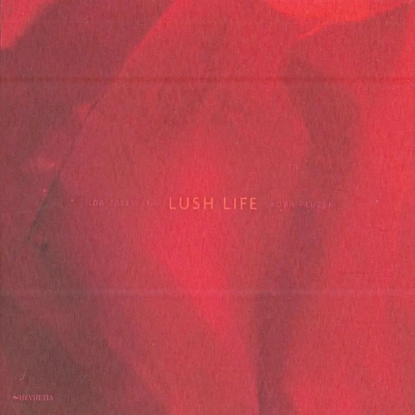 Kuba Płużek Brand Page