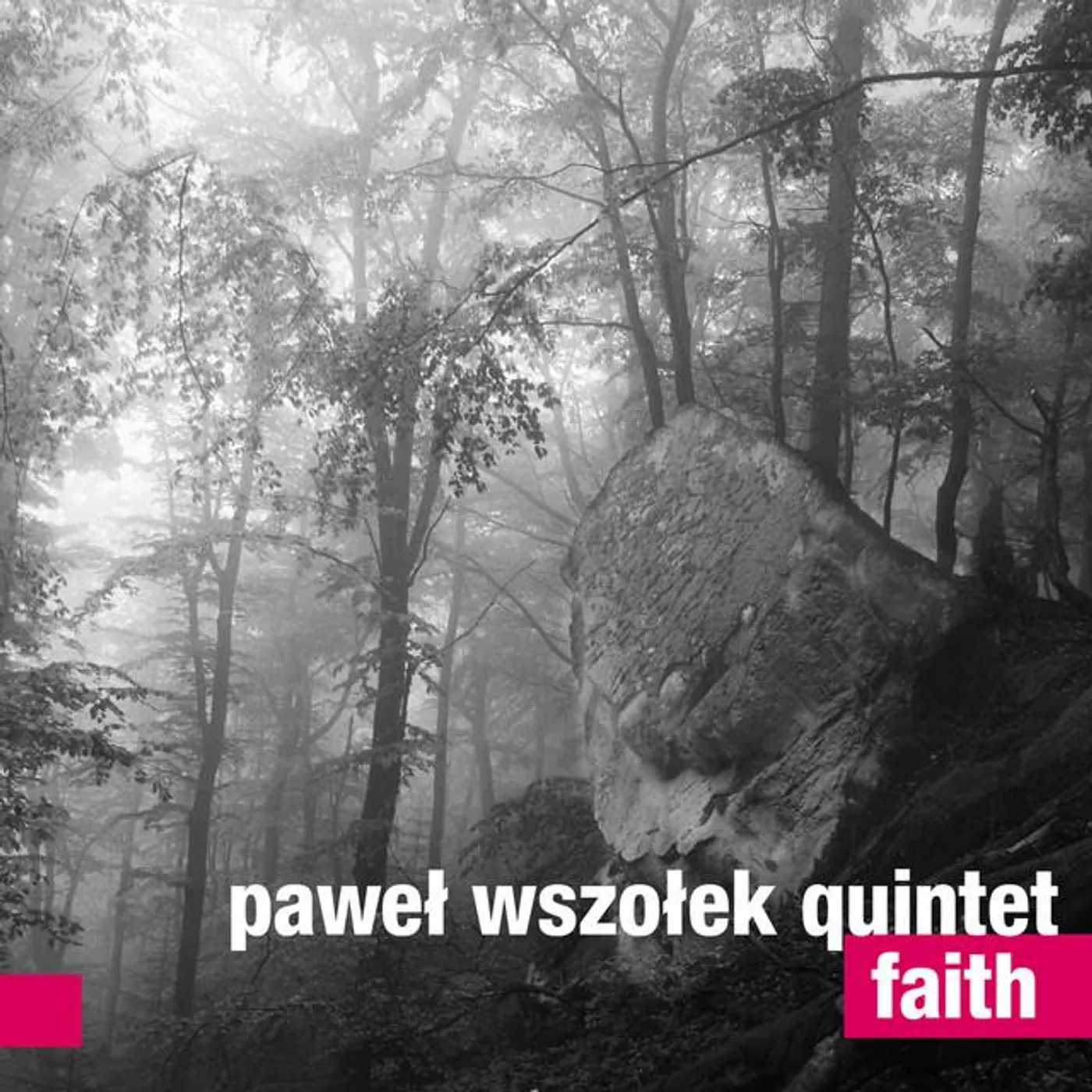 Paweł Wszołek Quintet