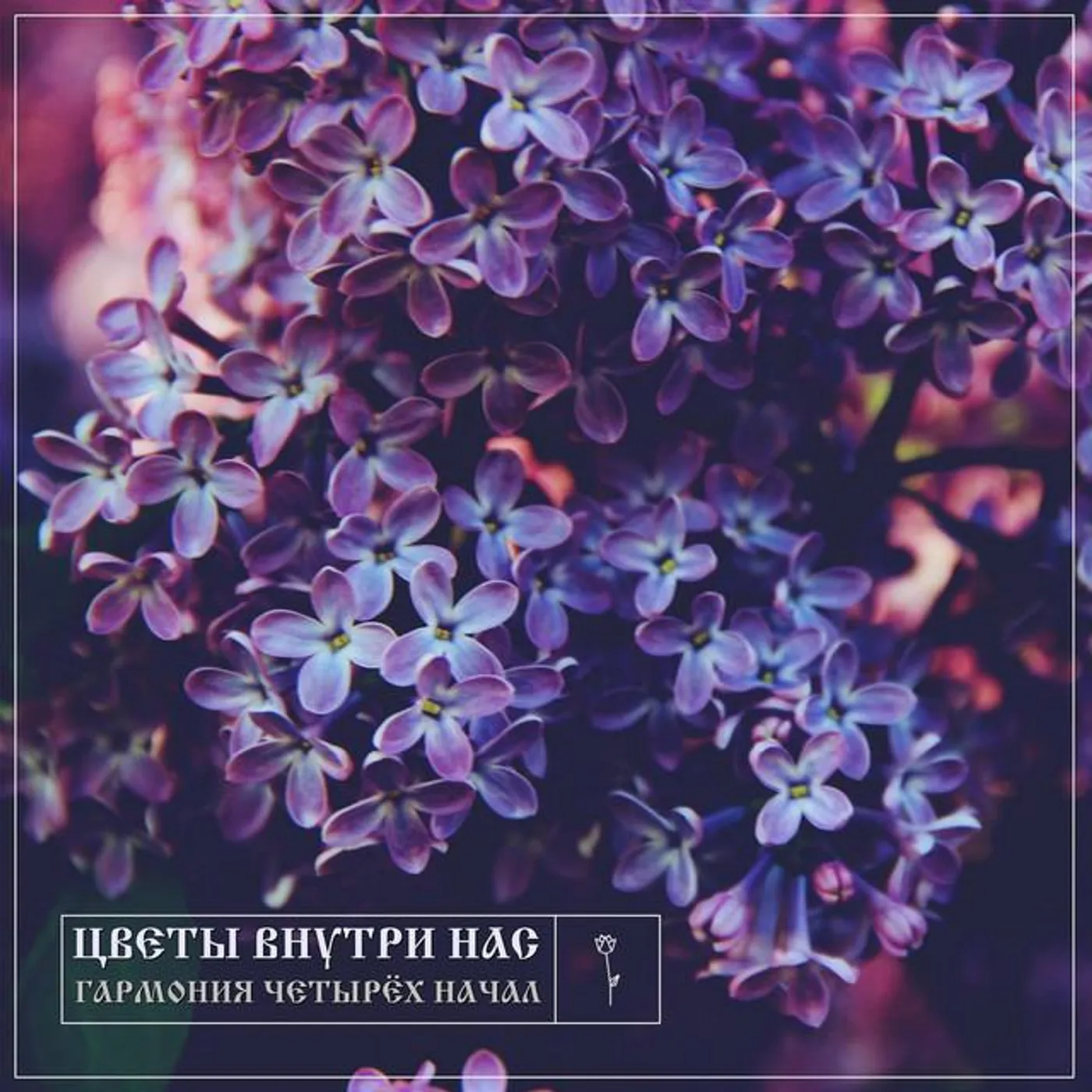 Цветы Внутри Нас