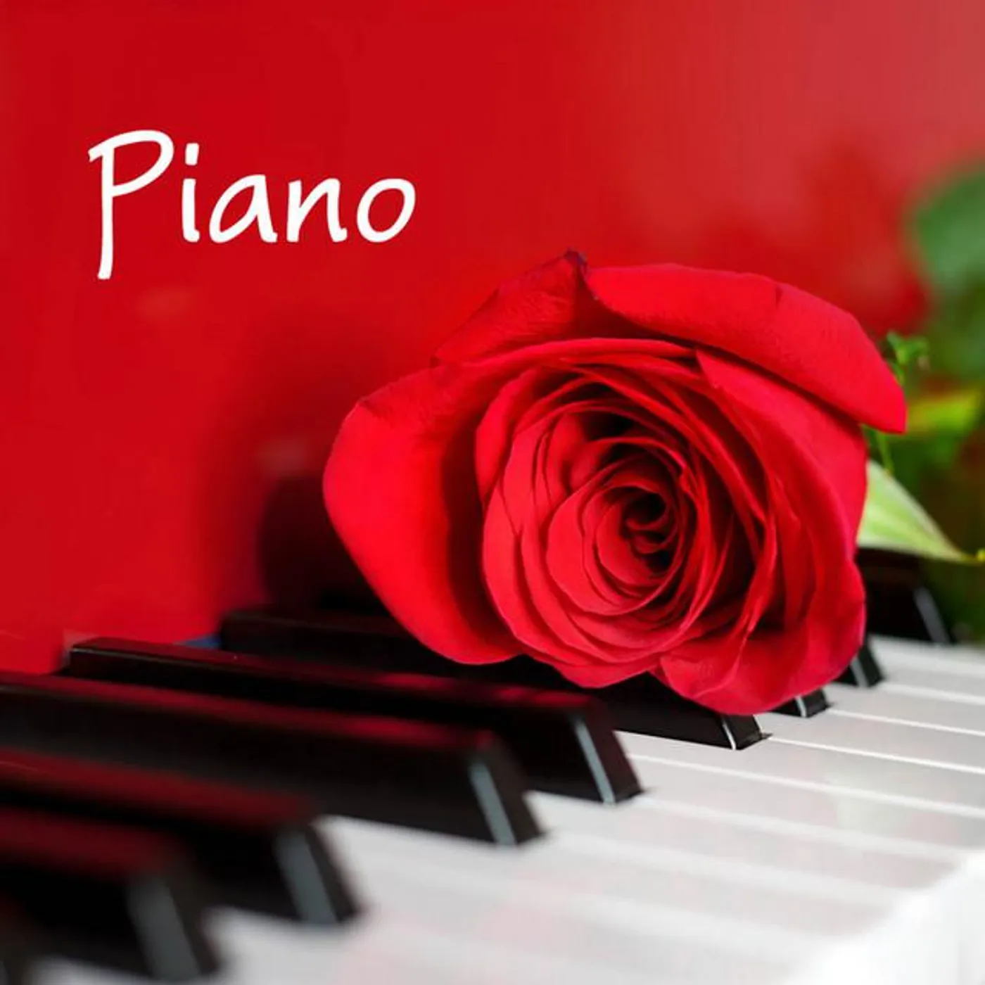 ピアノ Solo Venice Brand Page