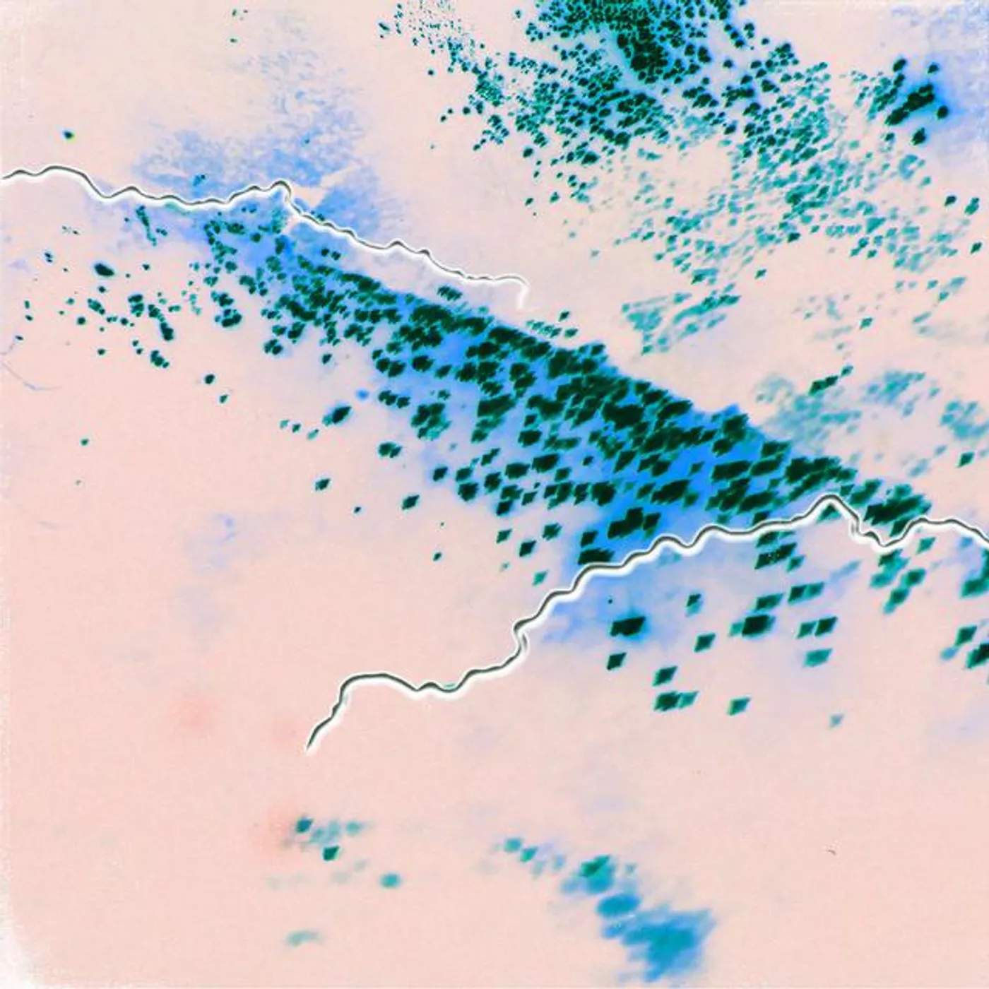 Tomáš Niesner Brand Page