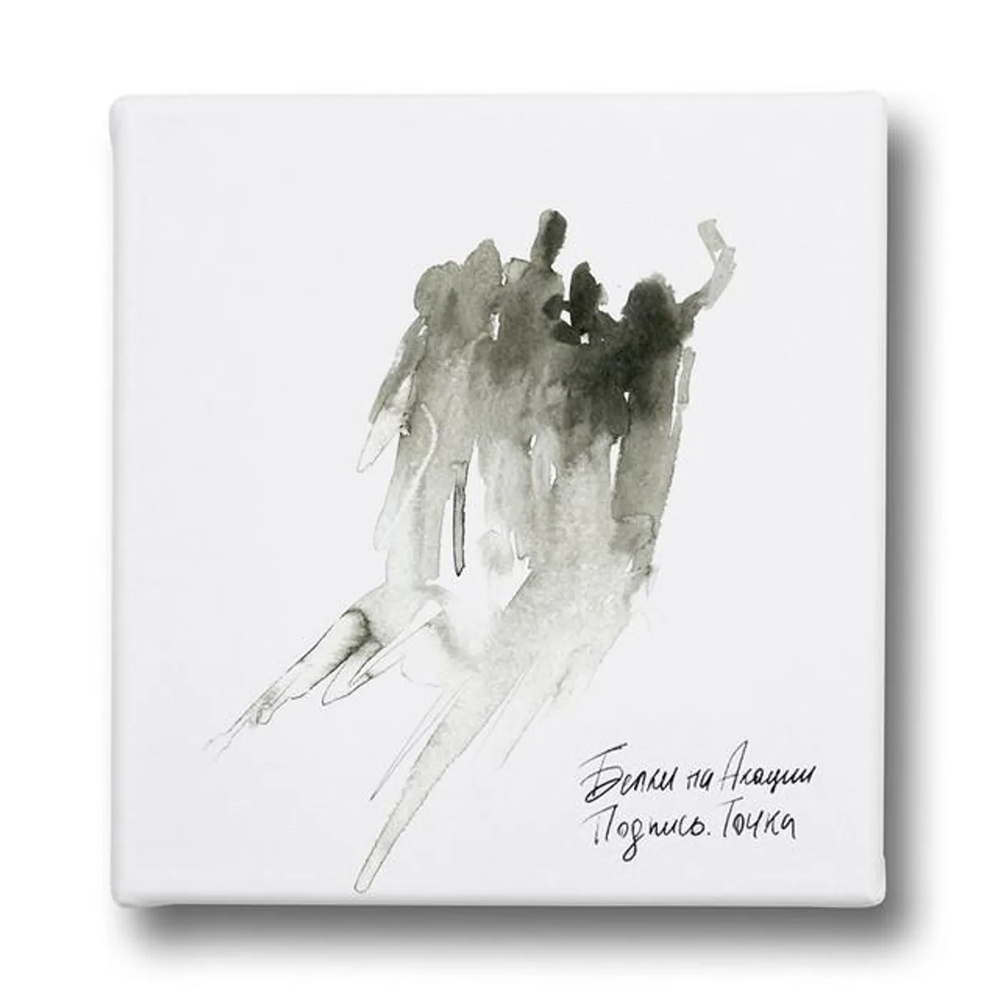 Белки На Акации