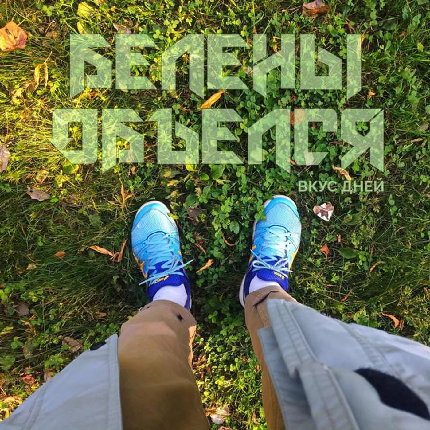 Белены Объелся?