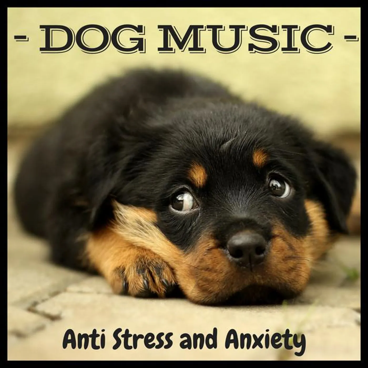 Dog’s Music Brand Page