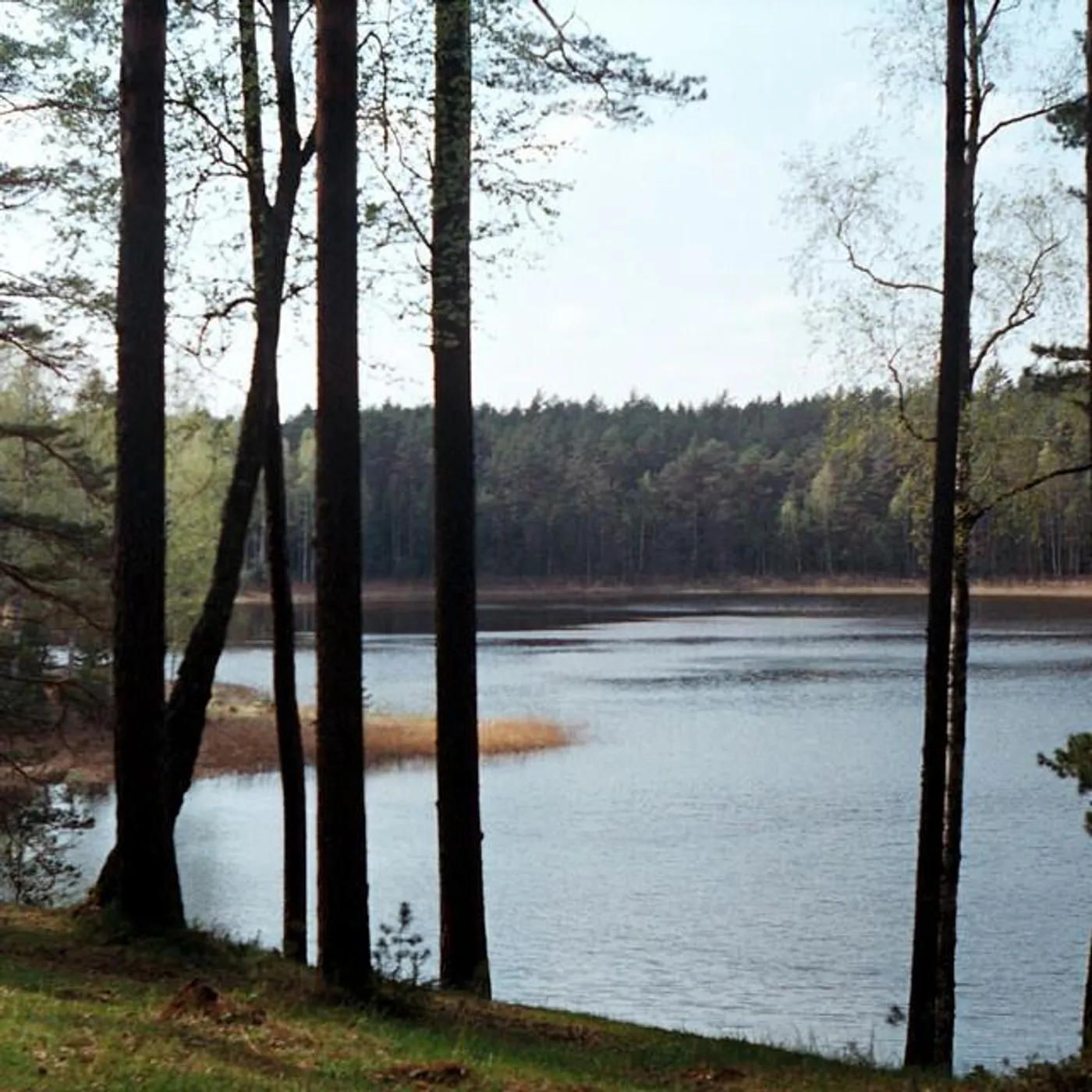 Сны Матильды