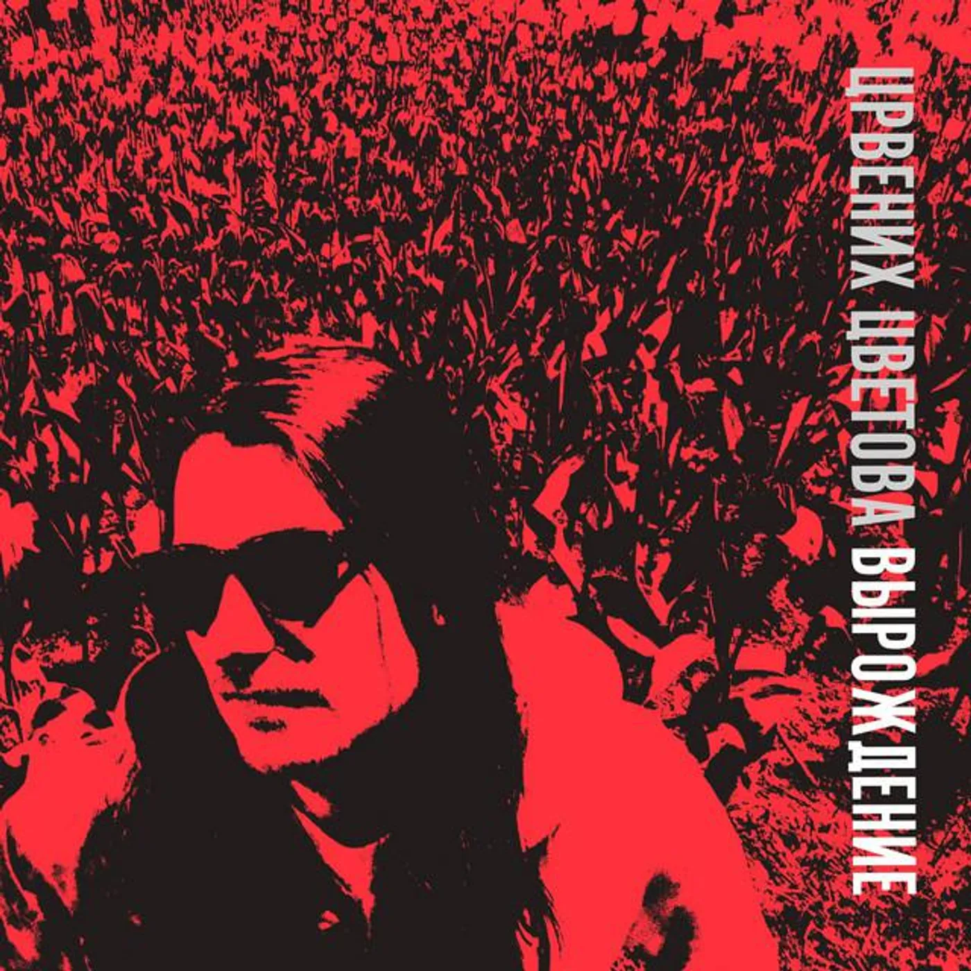 Црвених Цветова