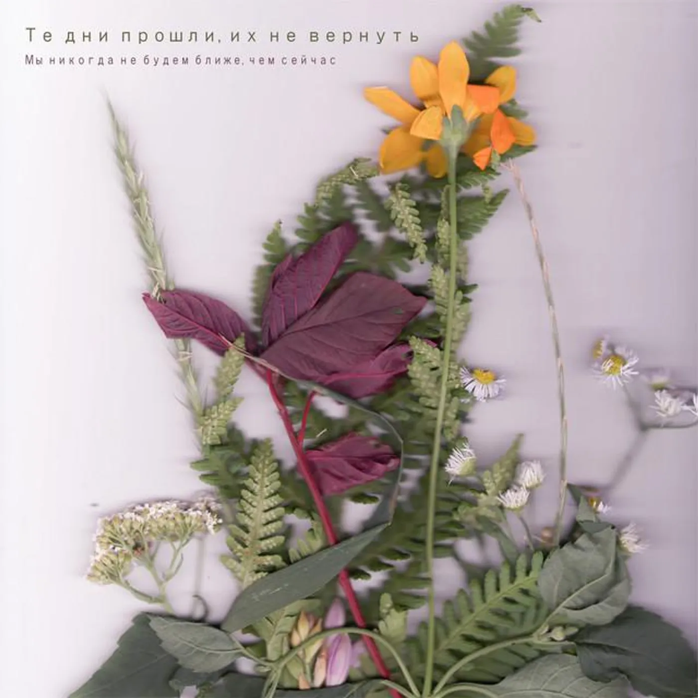 Те Дни Прошли