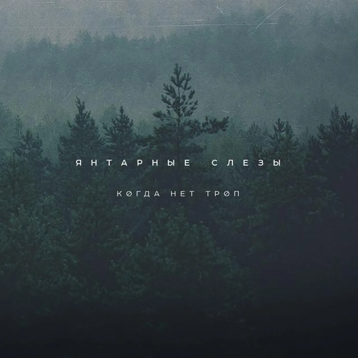 Янтарные Слезы