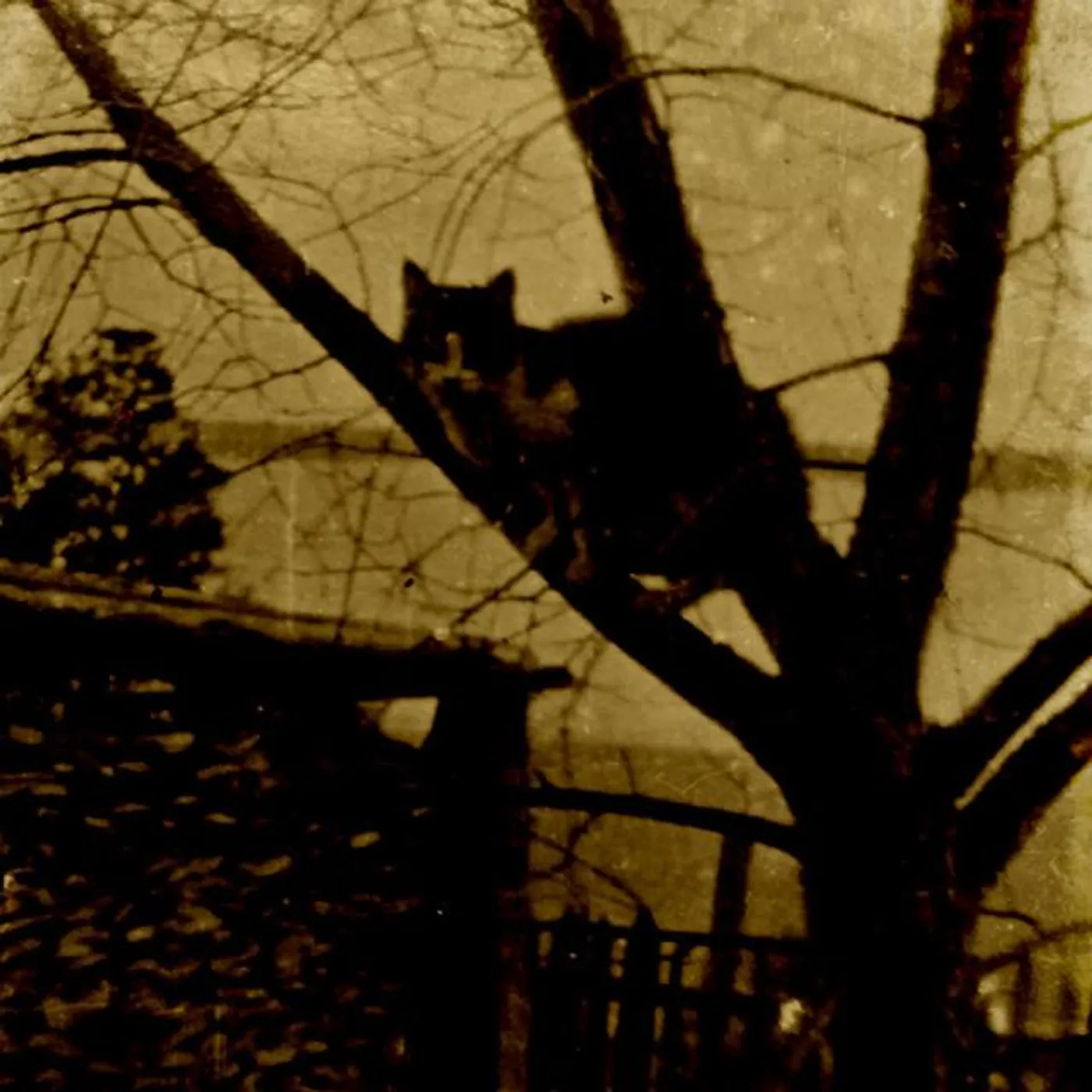 Икотка Brand Page