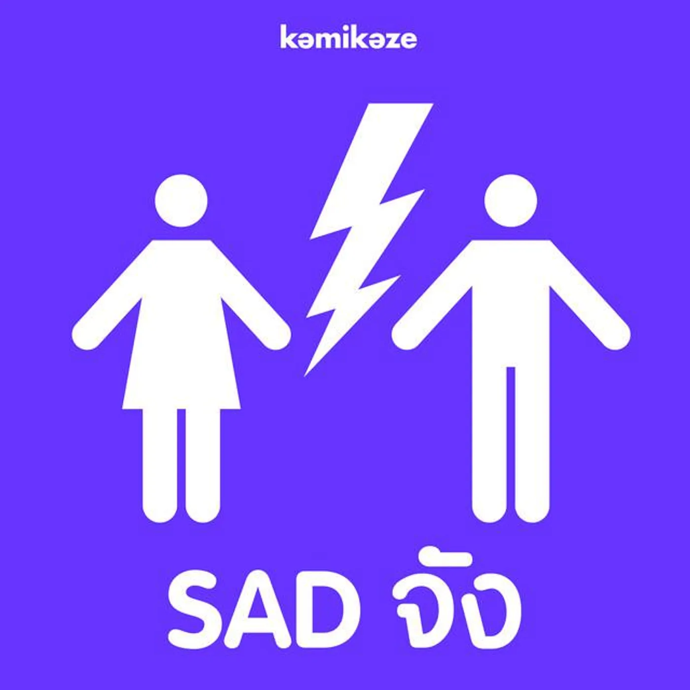 รวมศิลปิน (SAD จัง)