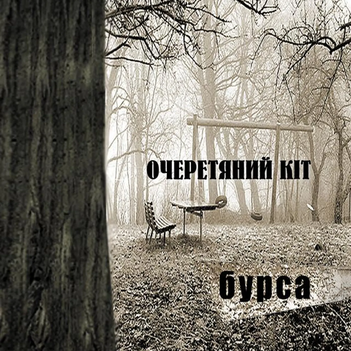 Очеретяний кіт