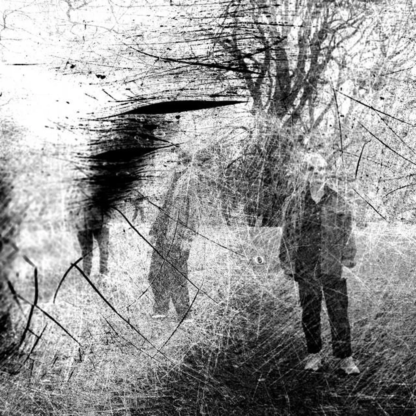 Amalie Dahl’s Dafnie