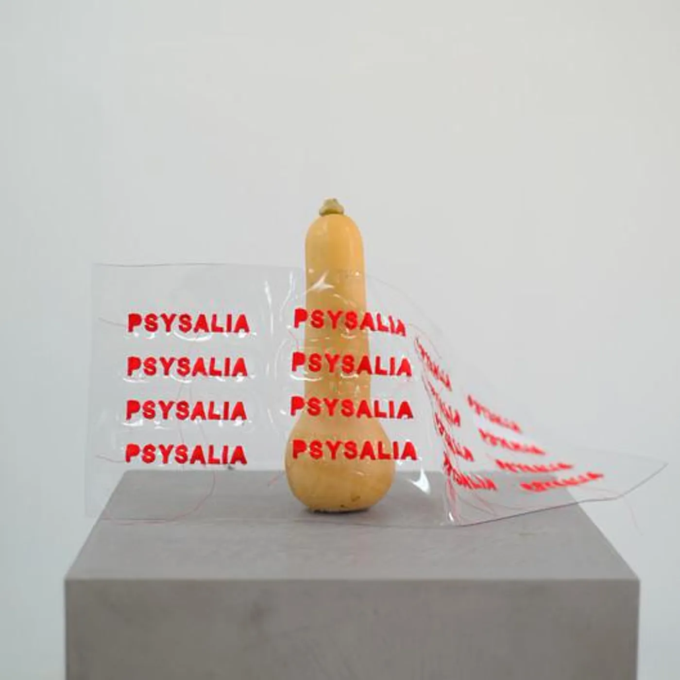 PSYSALIA 人 Brand Page