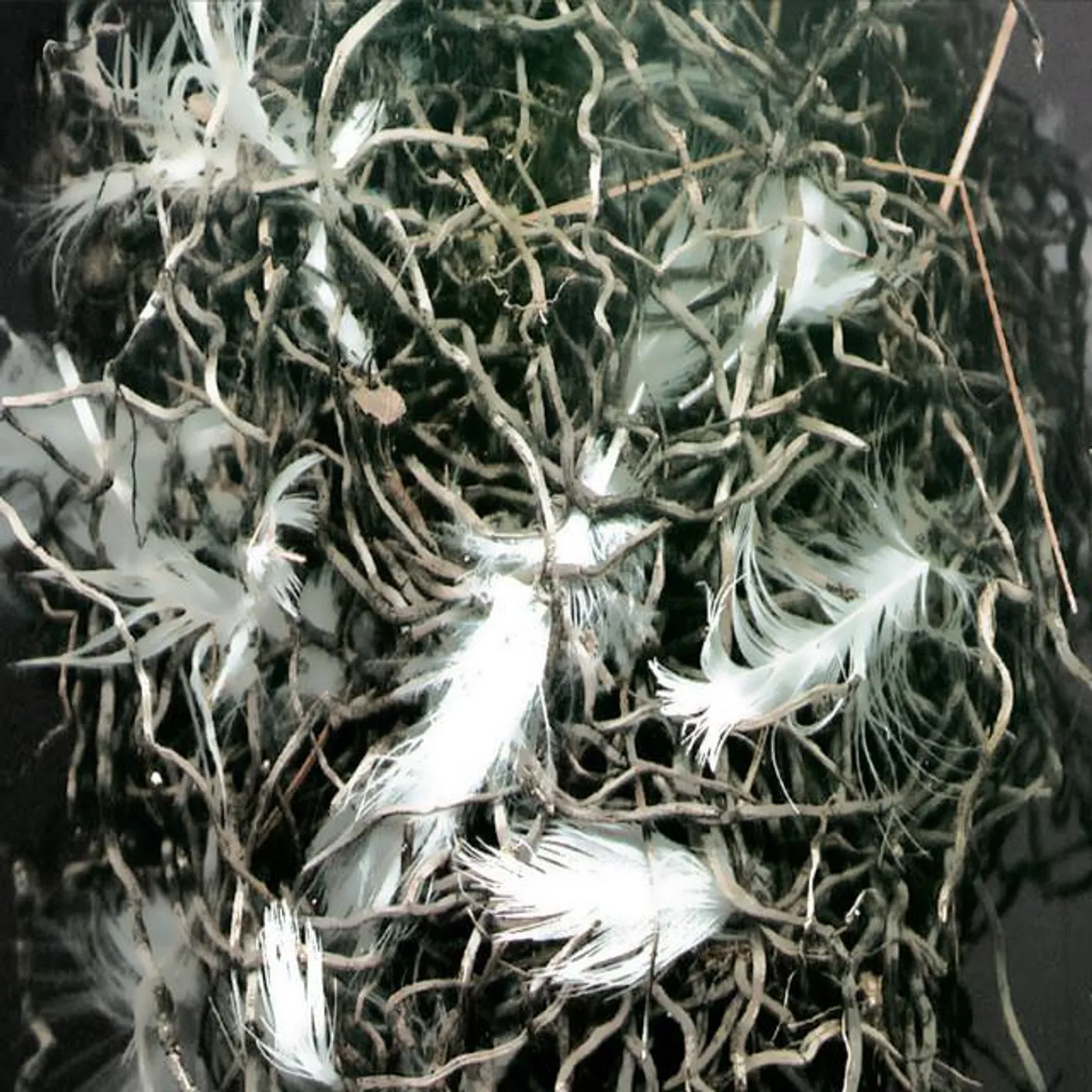 Msza Święta w Altonie