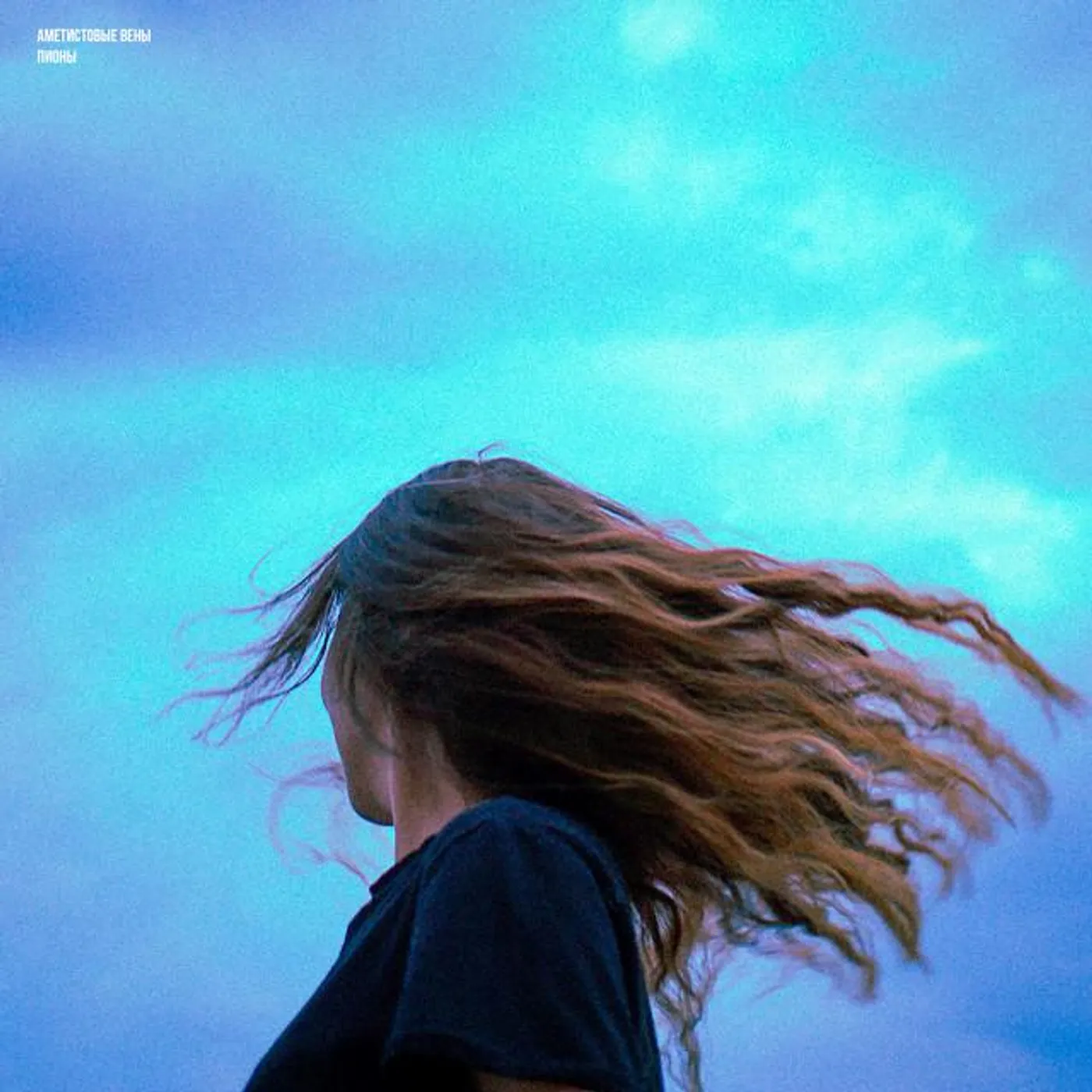 Аметистовые Вены