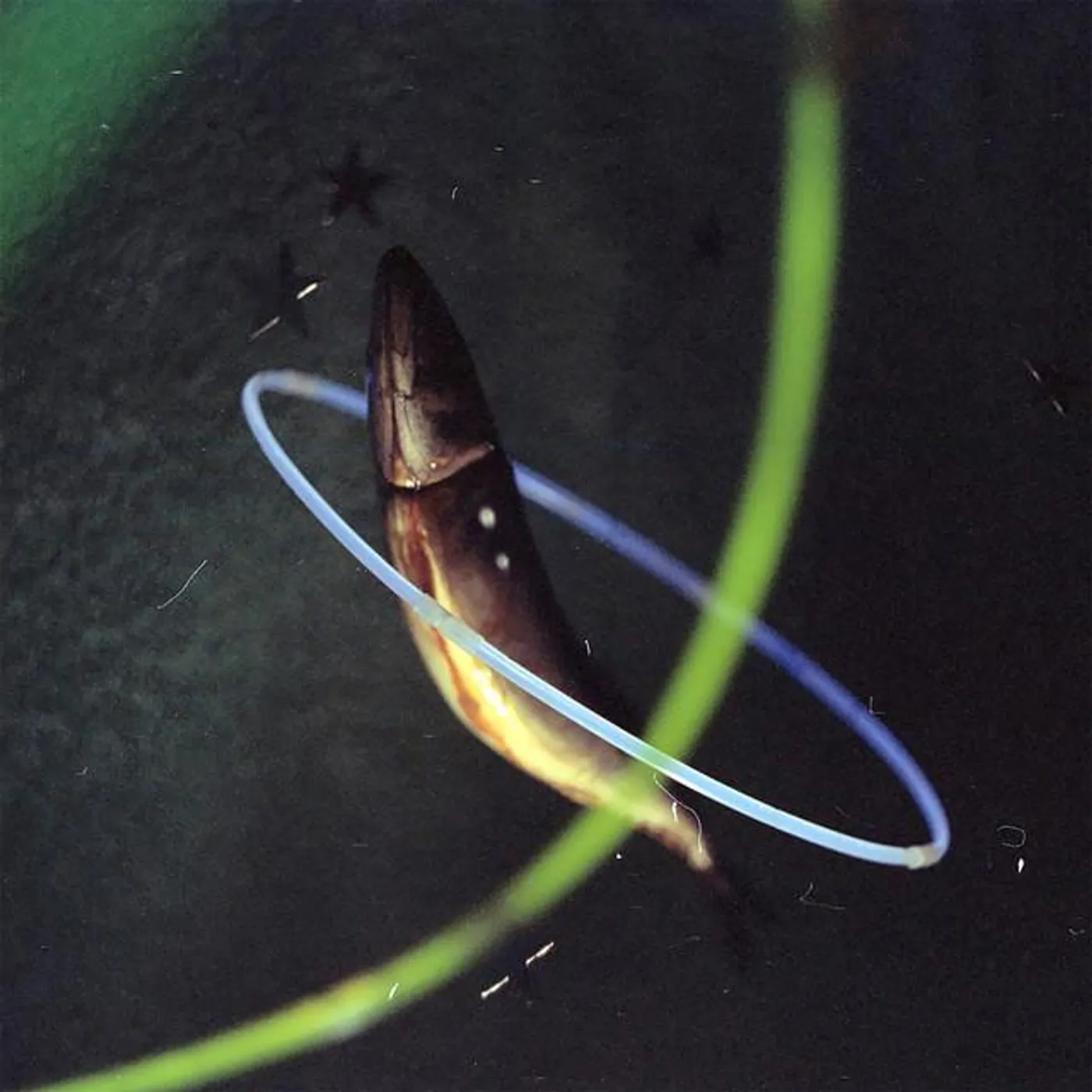 Смех Зелибобы Brand Page