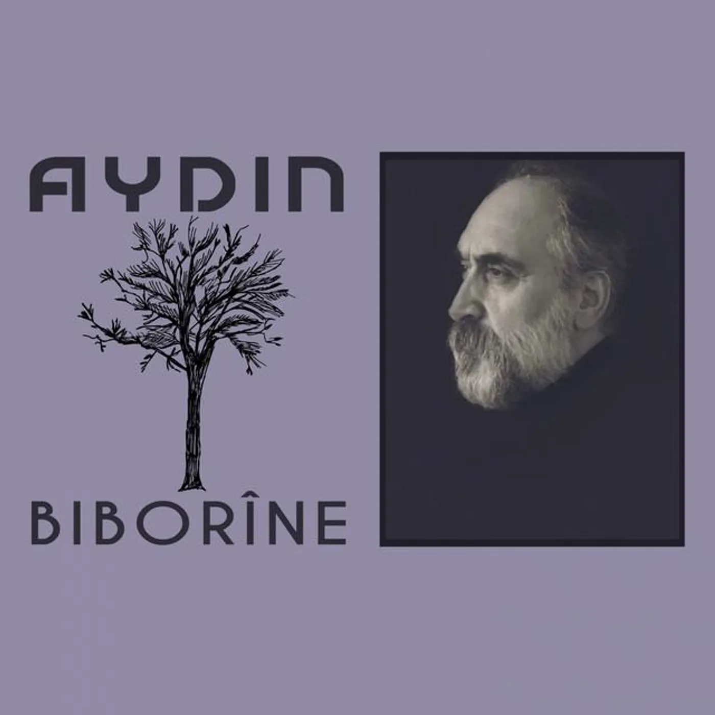 Aydın