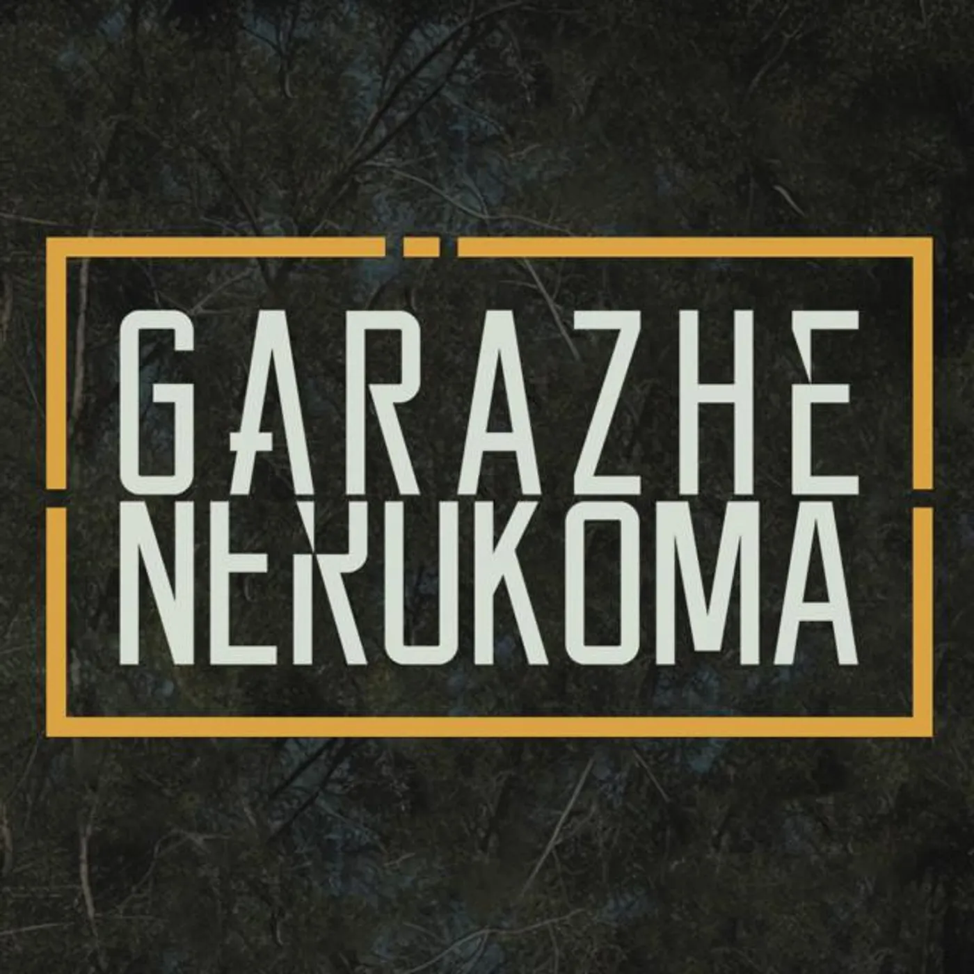 Garazhe Nerūkoma