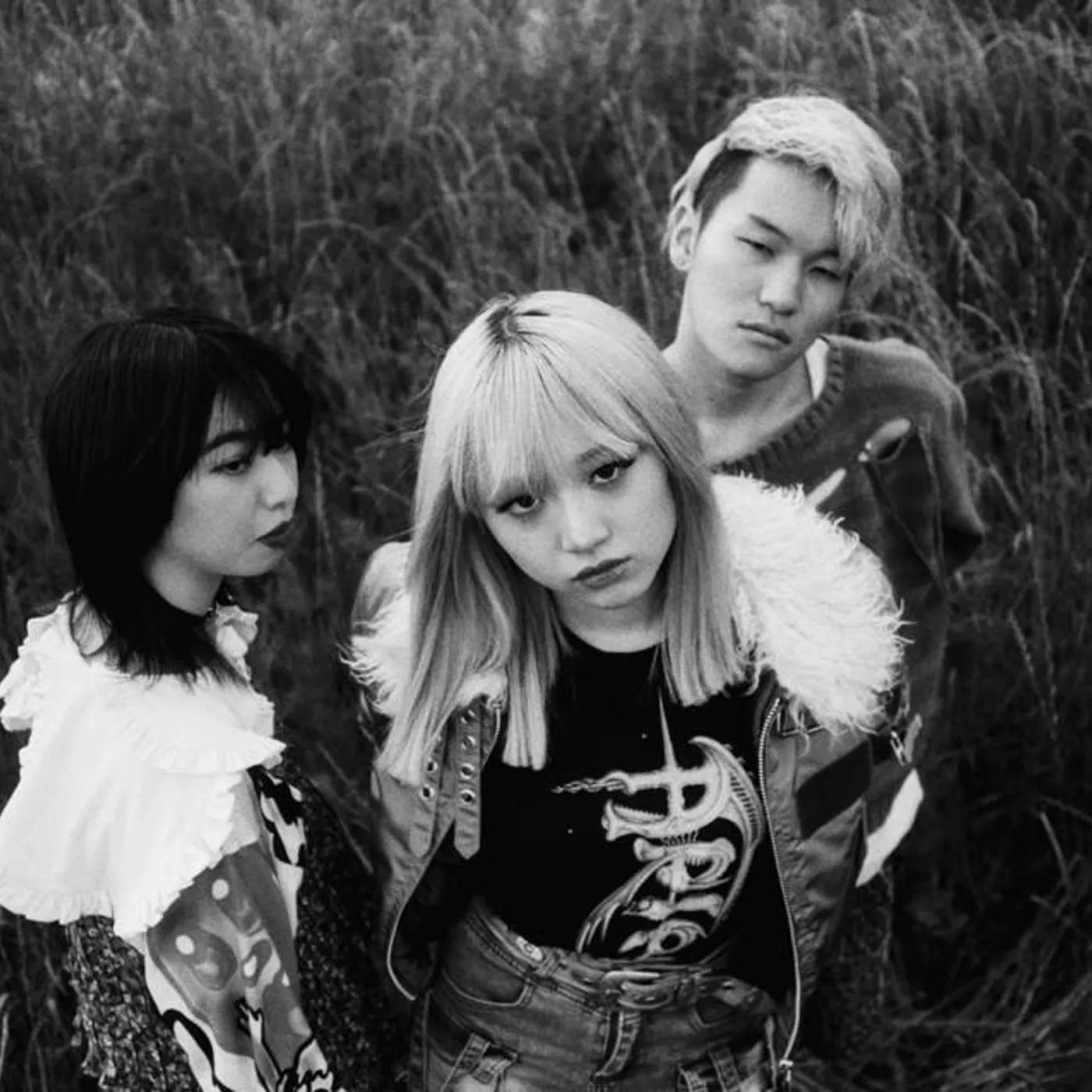 ブランデー戦記