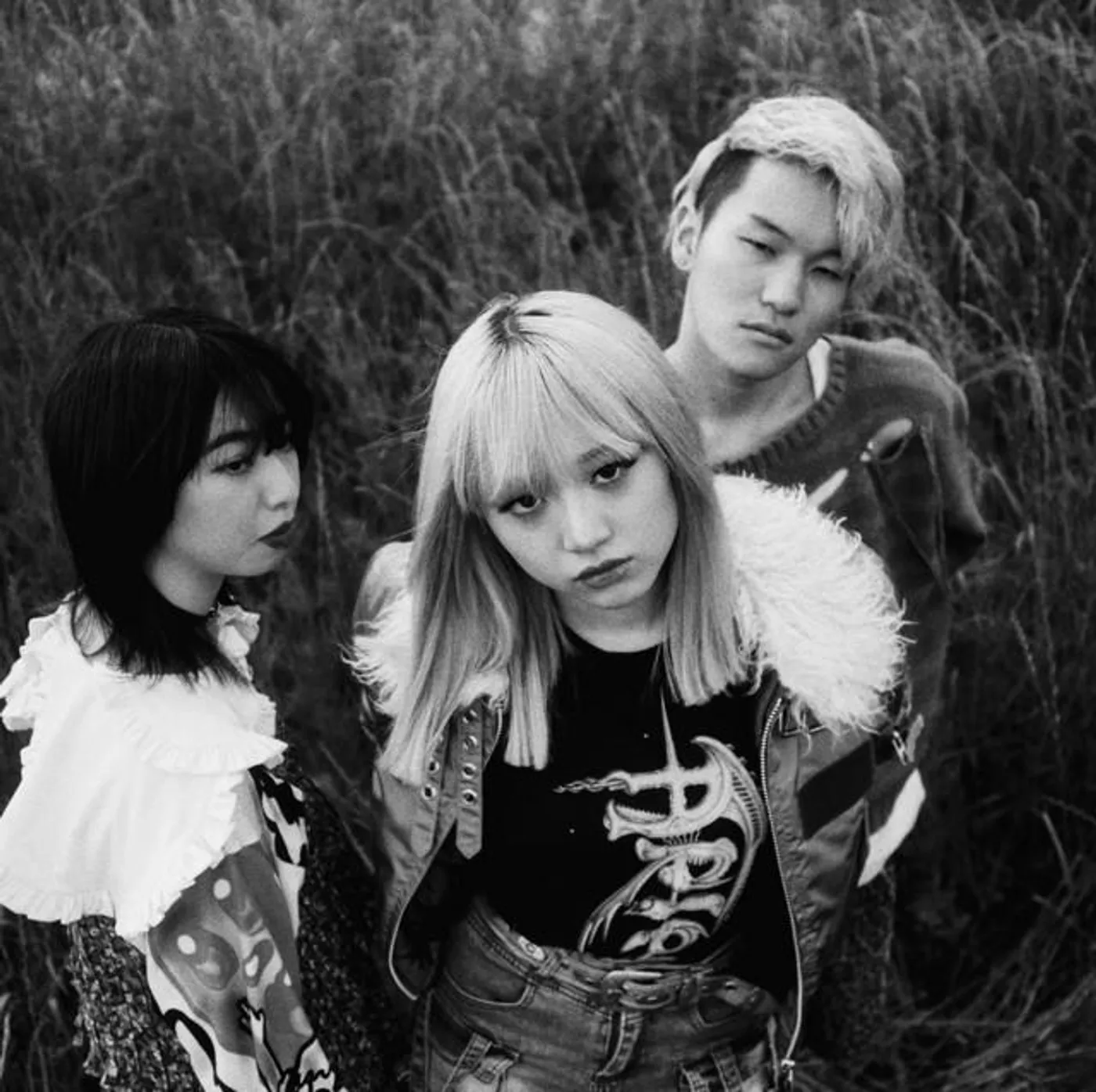 ブランデー戦記