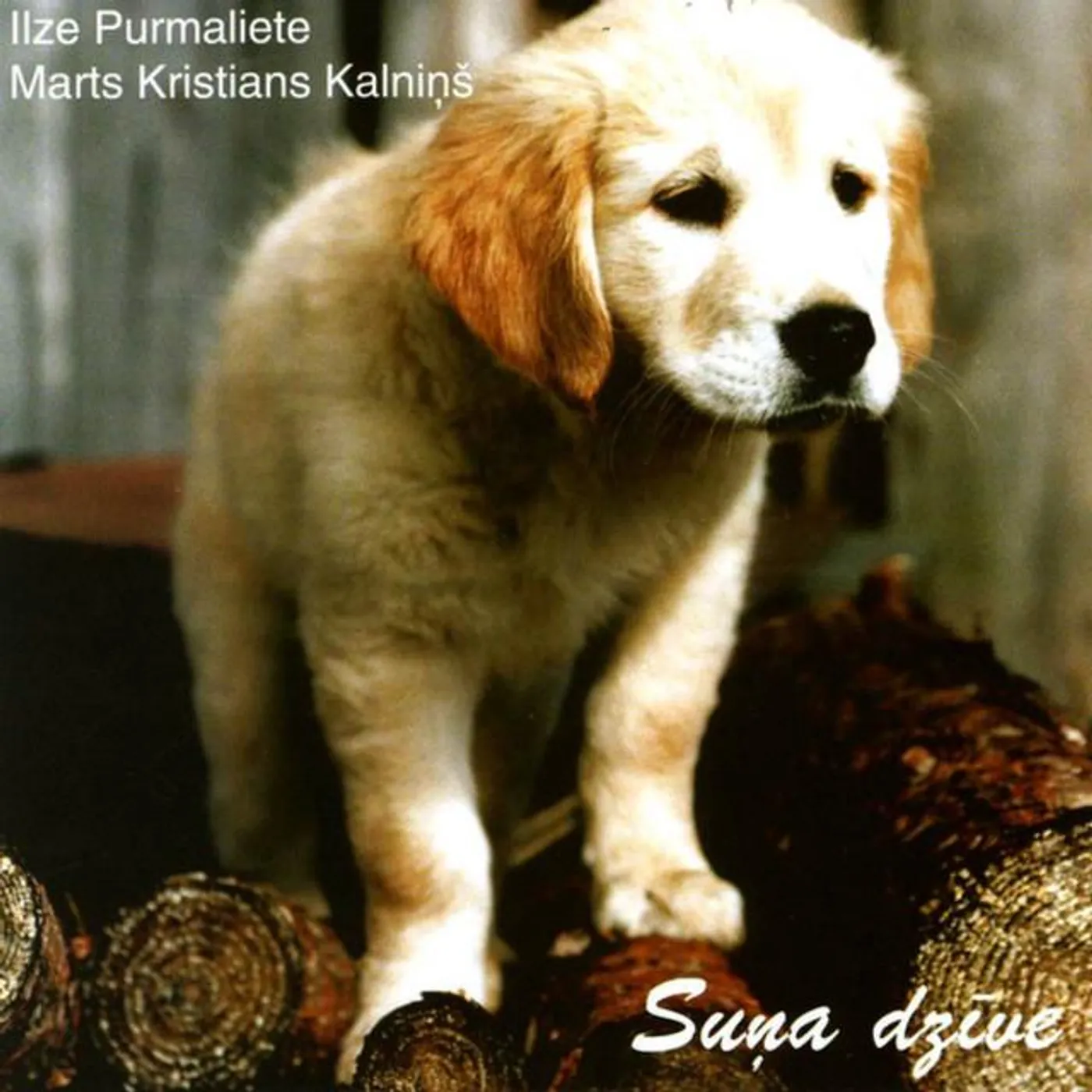 Marts Kristians Kalniņš