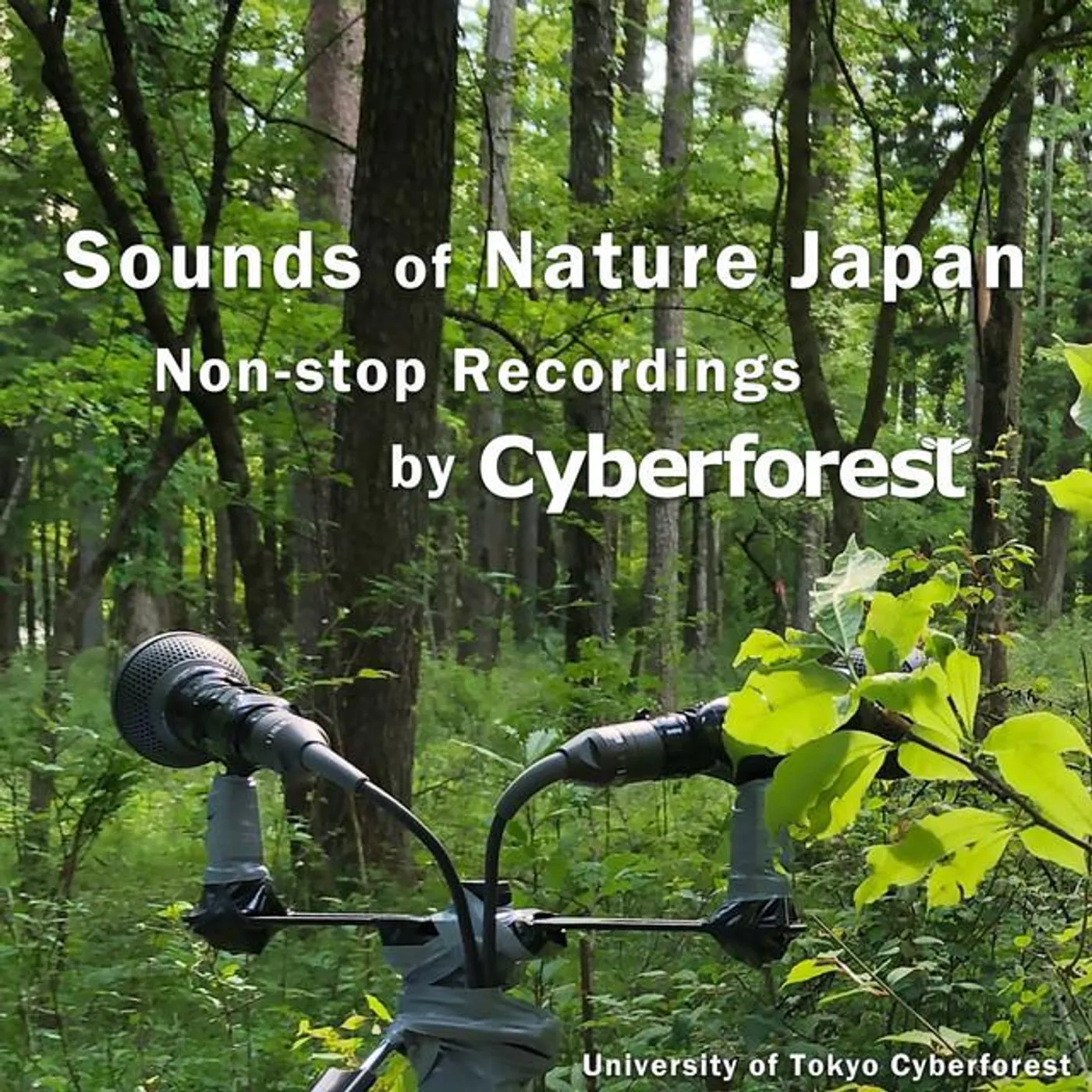 東京大学サイバーフォレスト