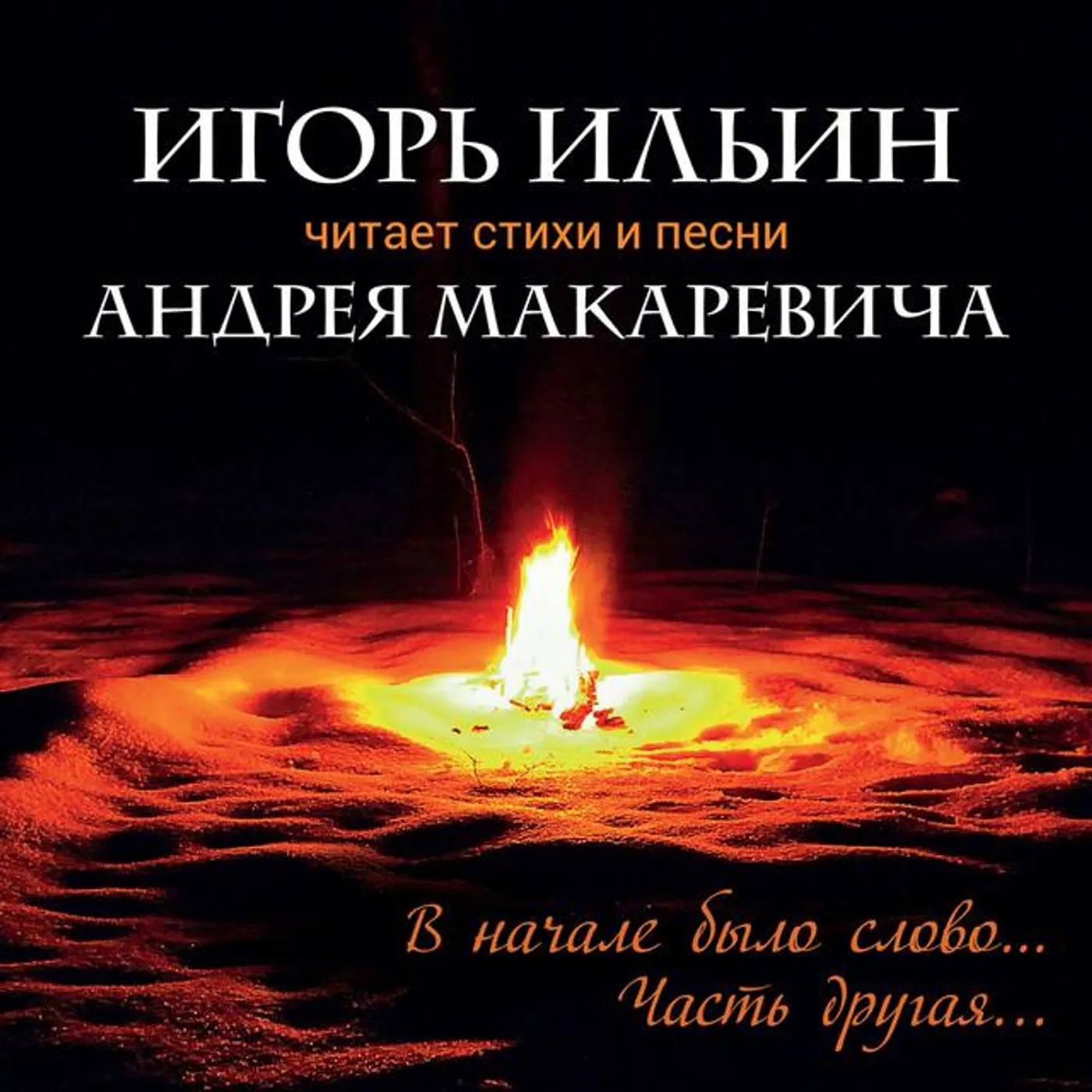 Игорь Ильин Brand Page