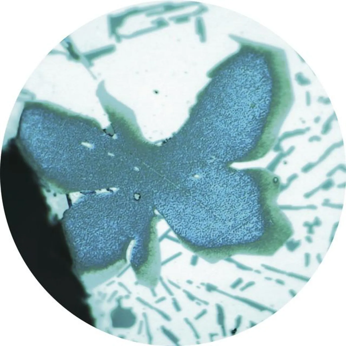 ʕ•͡ᴥ•ʔ Brand Page