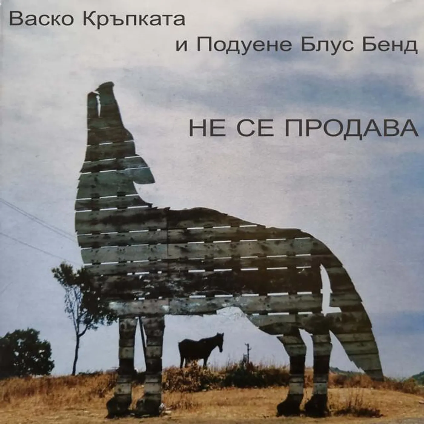 Васко Кръпката