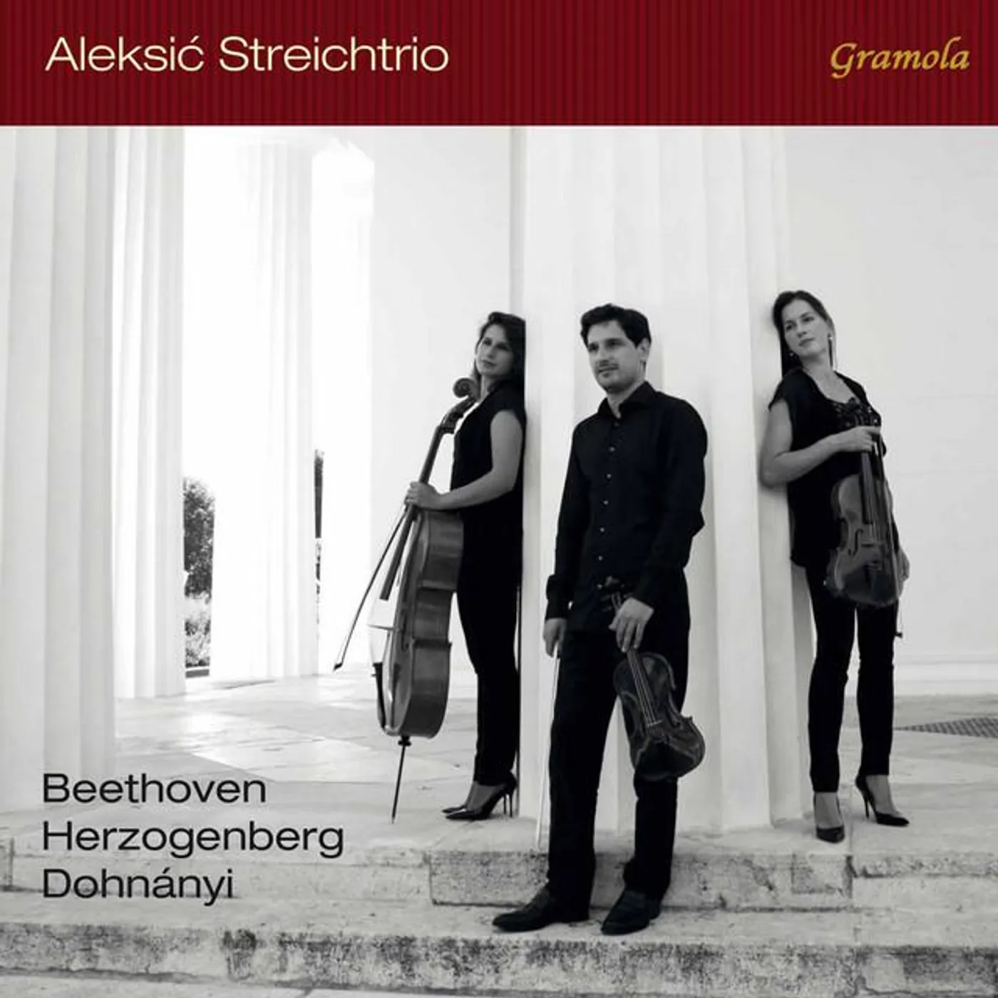 Aleksić String Trio Brand Page