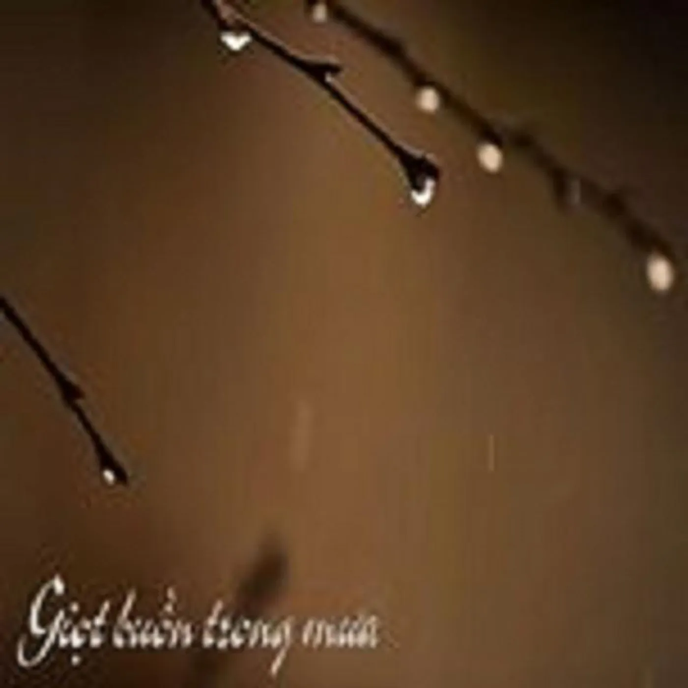 Trang Mỹ Dung Brand Page