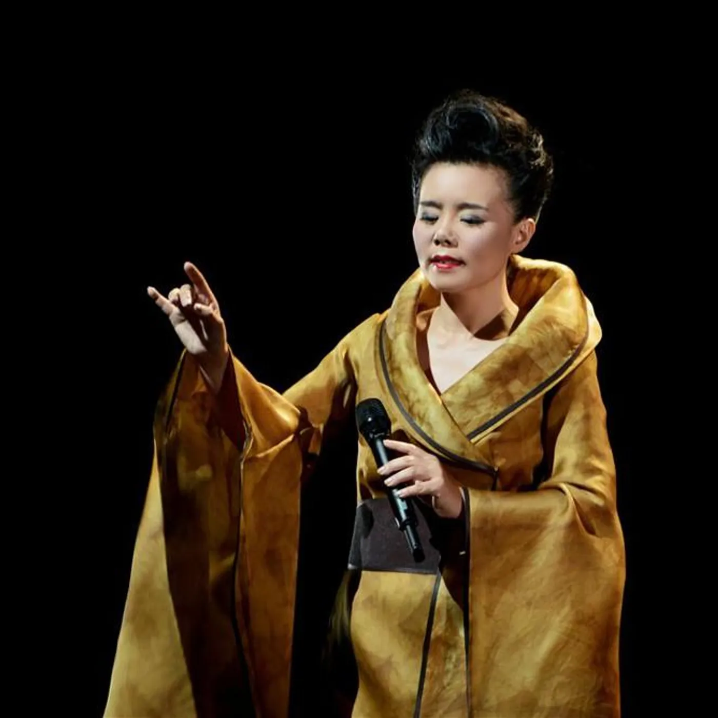 龚琳娜 Brand Page