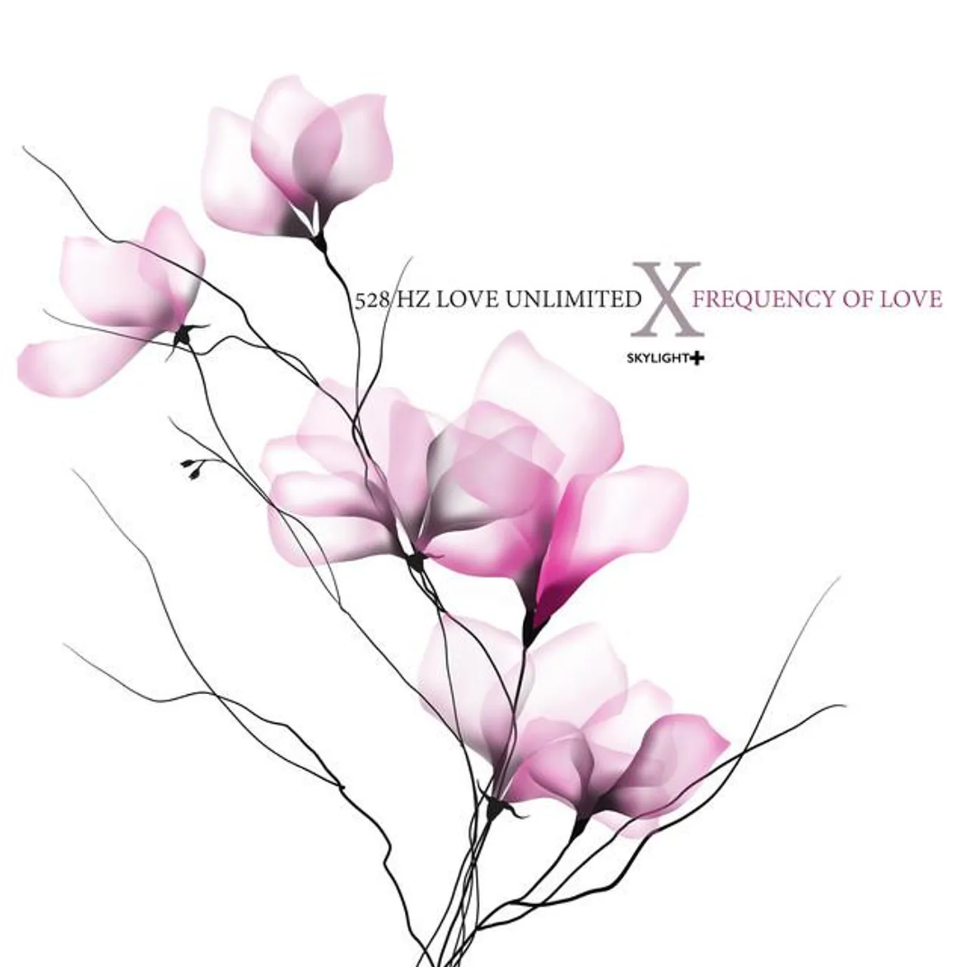 528 Hz Love Unlimited