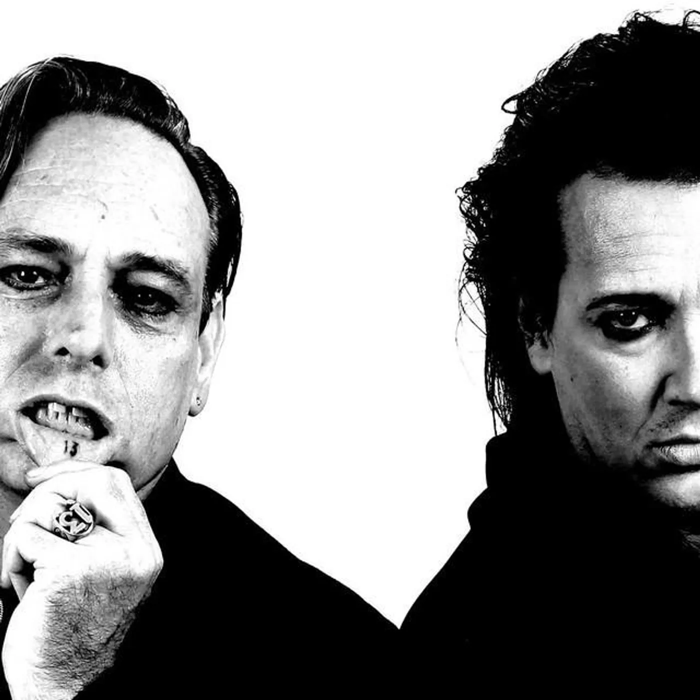 The 69 Cats Brand Page