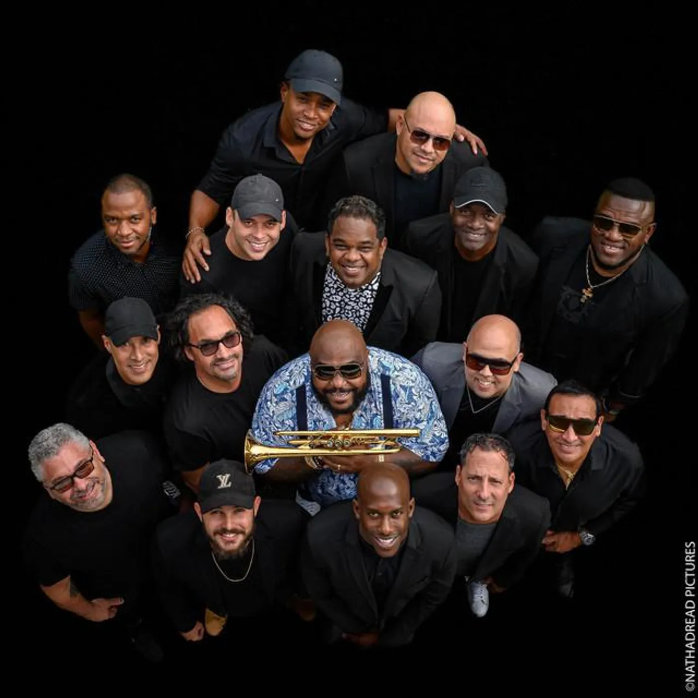 Havana D’Primera Brand Page