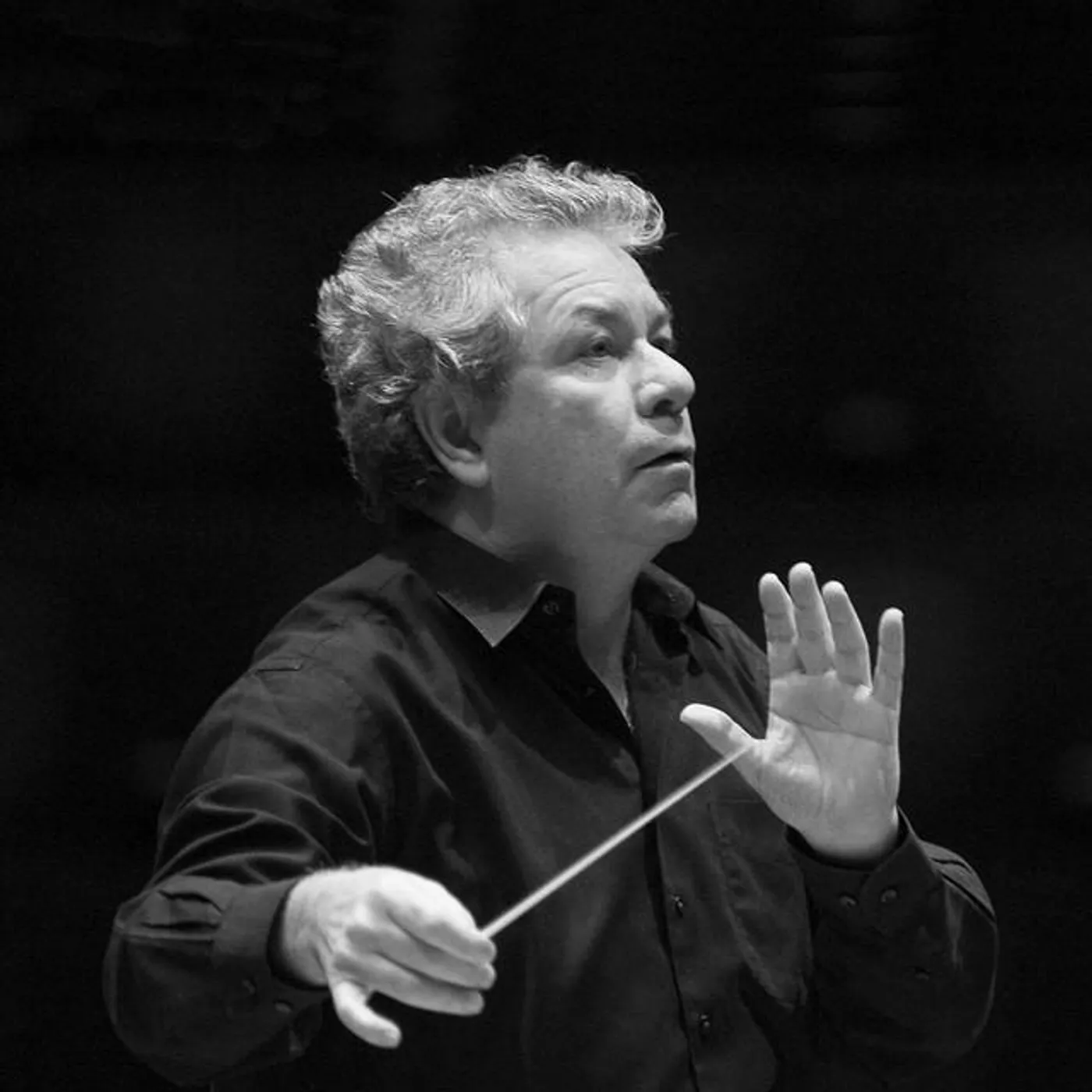 Jiří Bělohlávek Brand Page