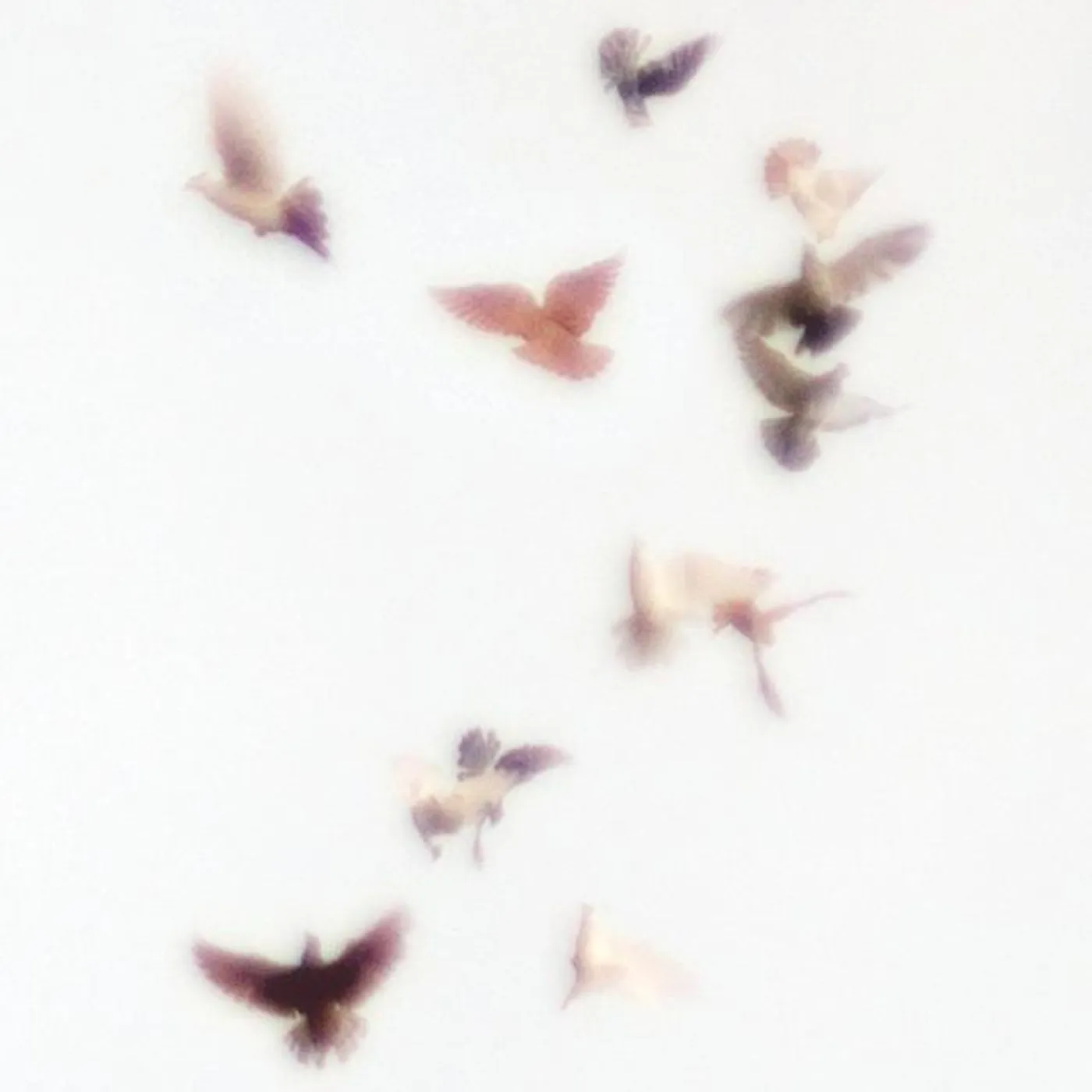 Молчание Моря