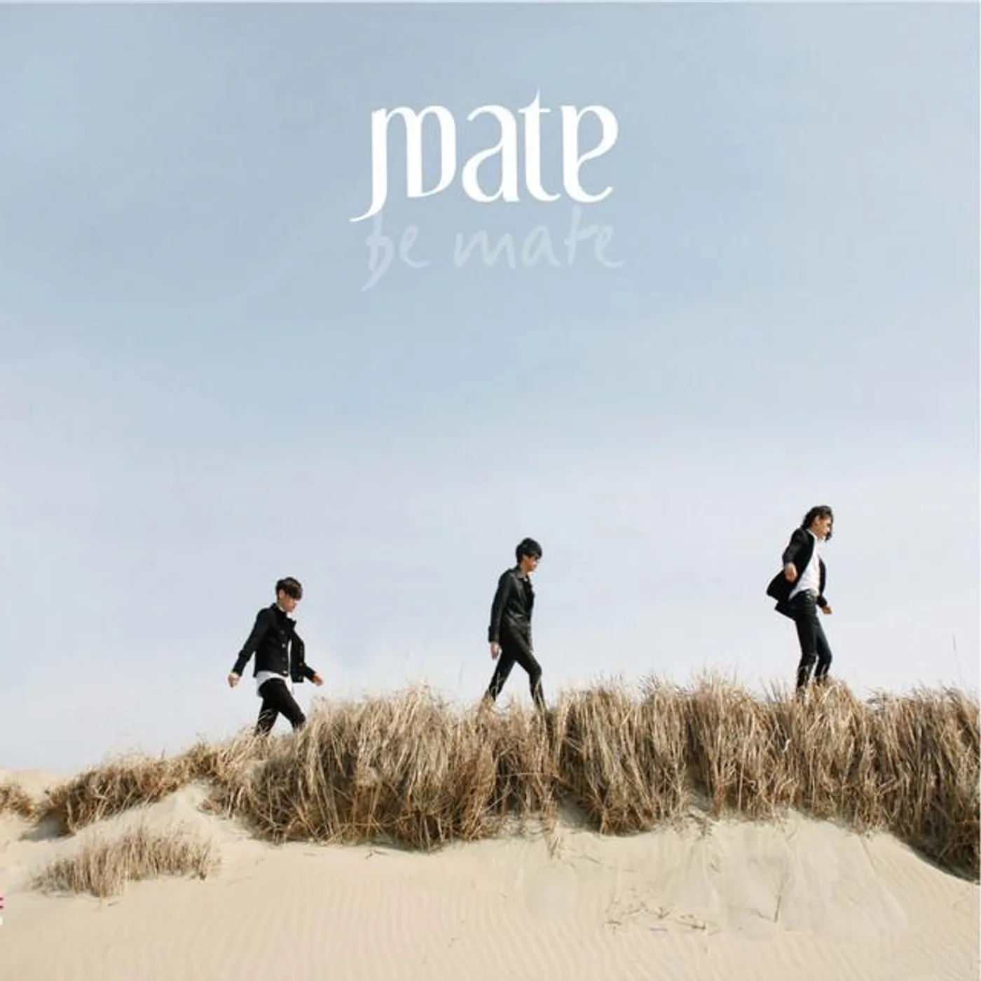 mate(메이트) Brand Page
