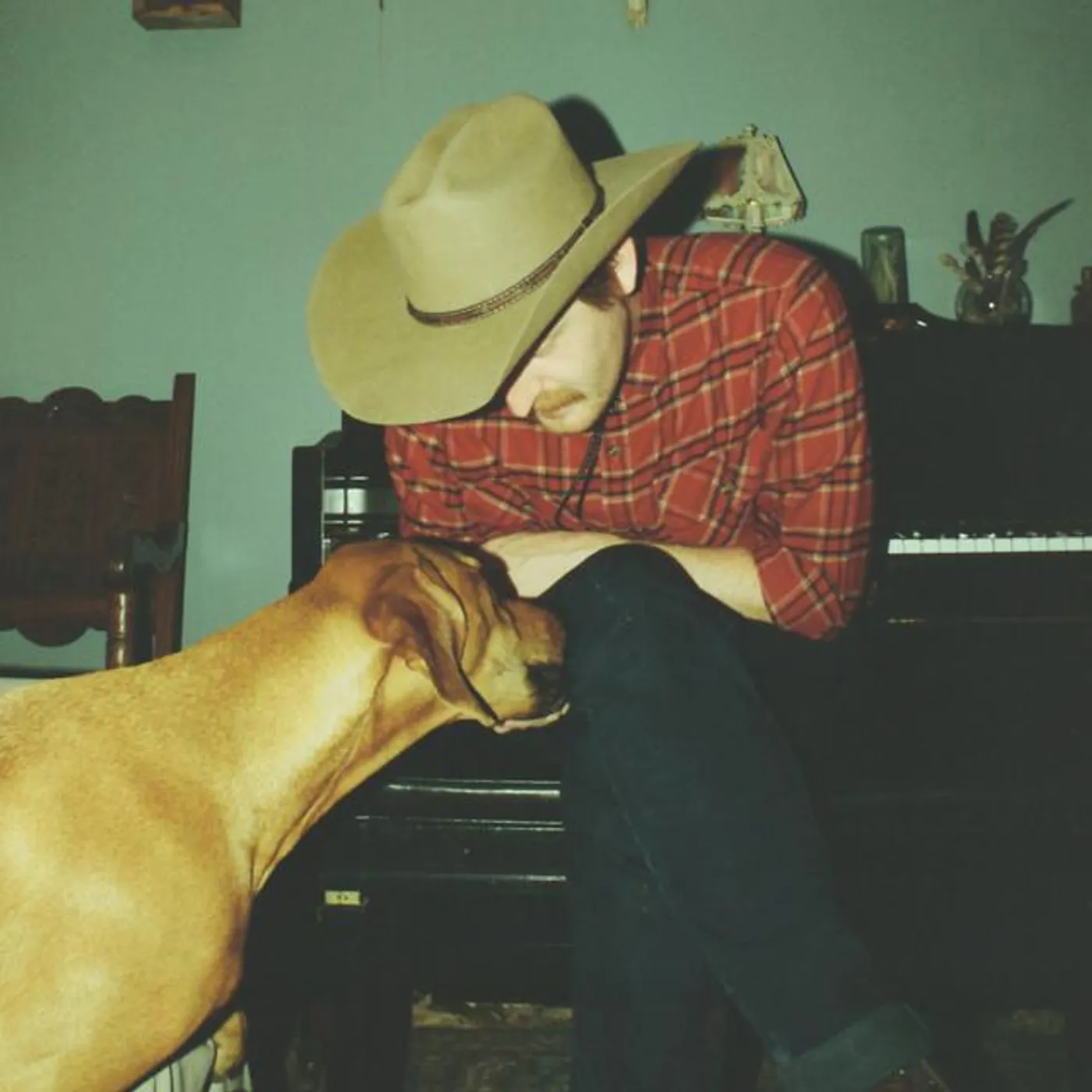 Coughing Dove Brand Page