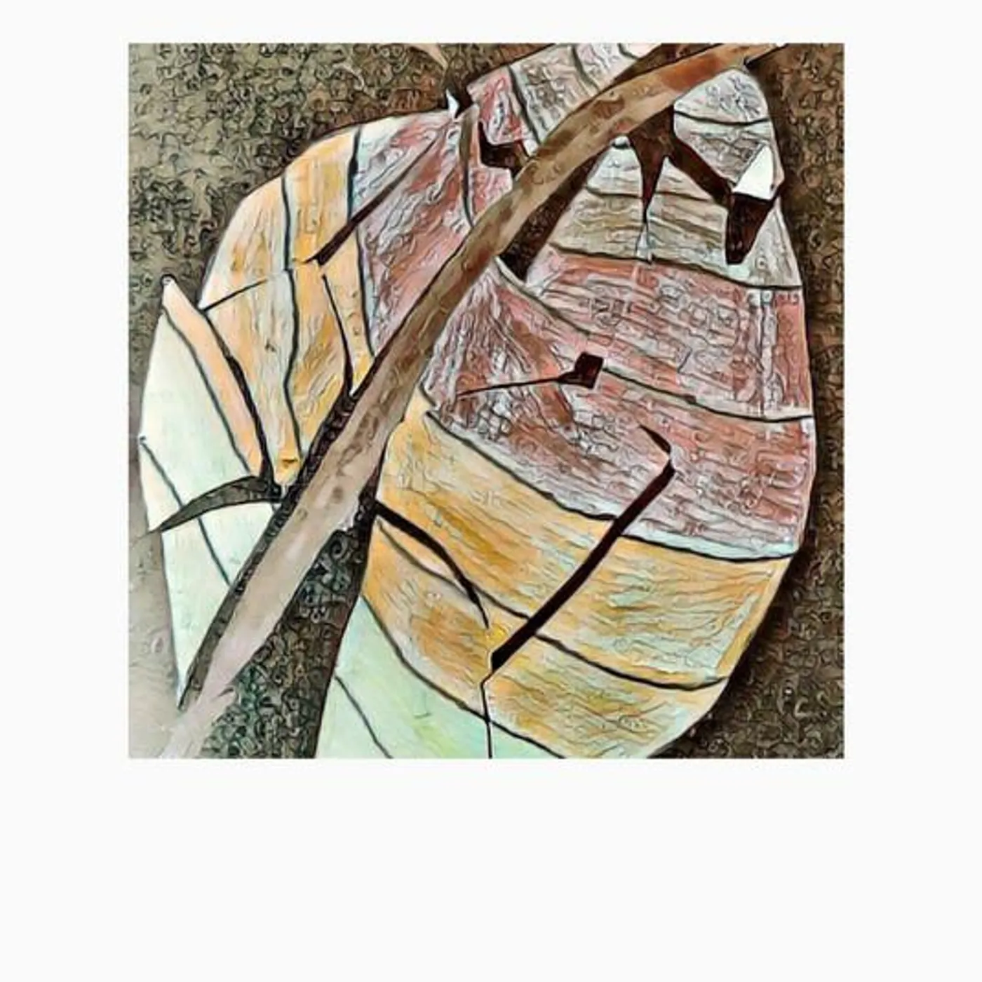 Count Niente Brand Page