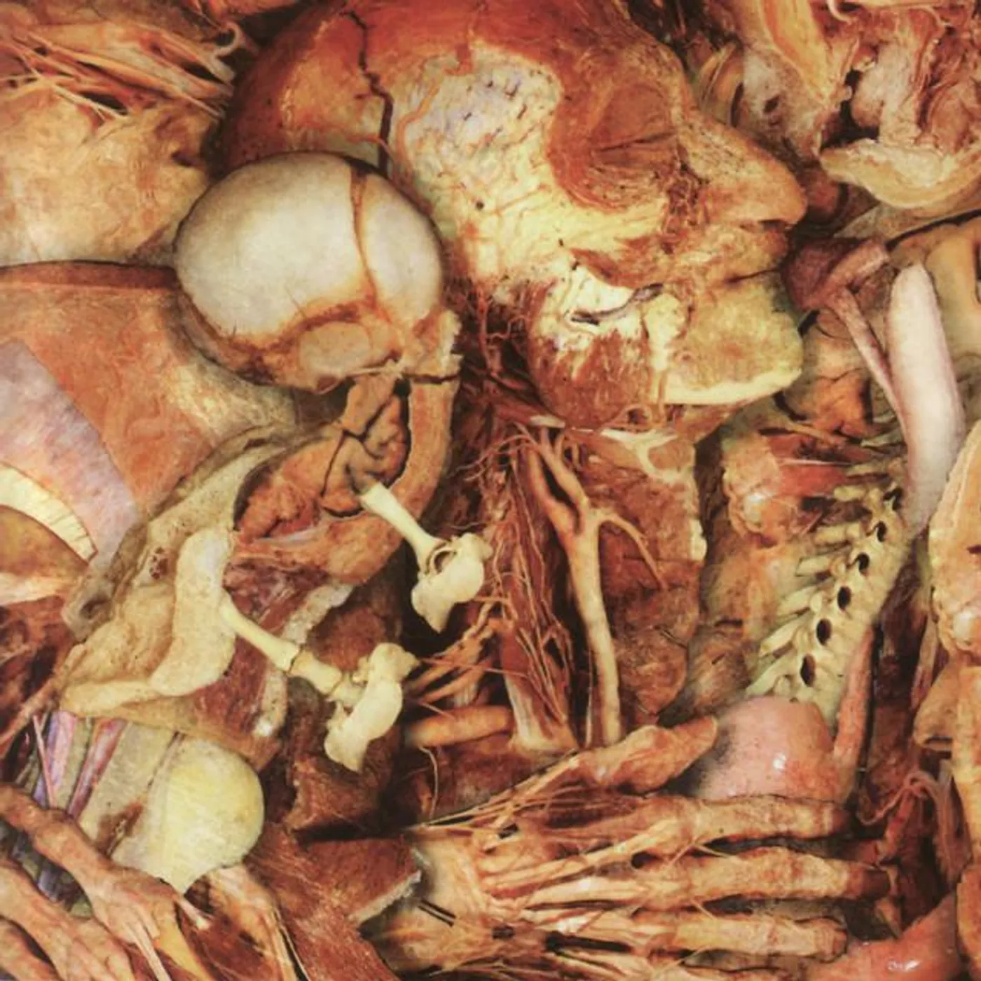 The County Medical Examiners