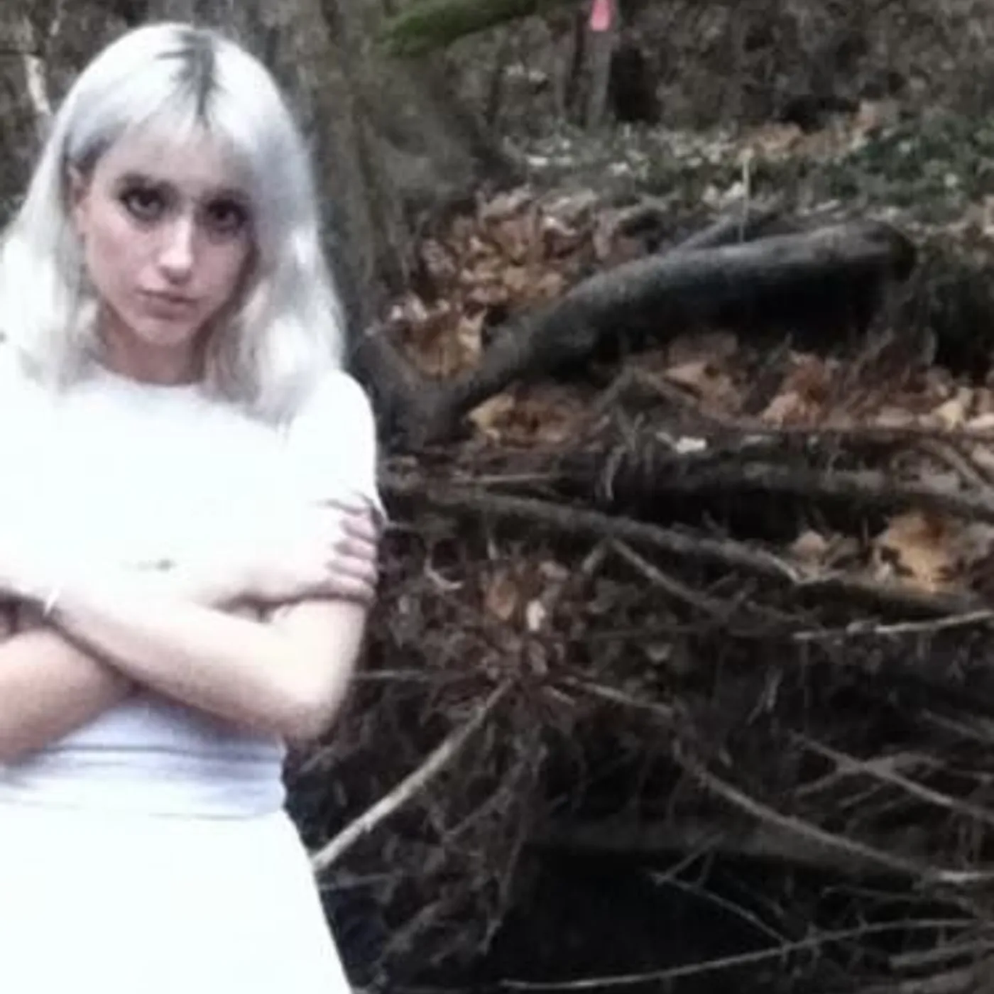 Cozy St. Jean Brand Page