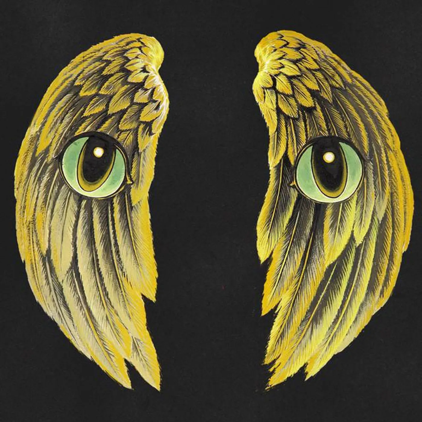 Coastal Kites Brand Page