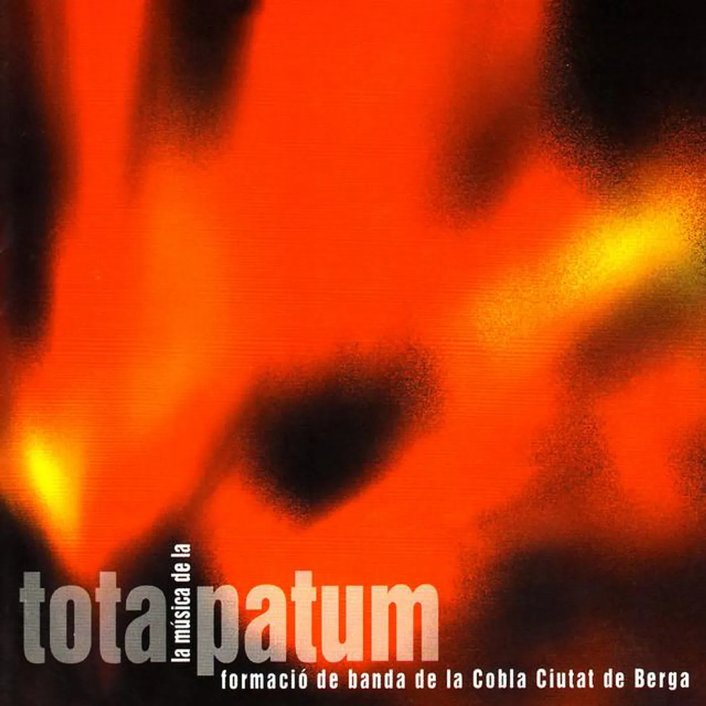 Cobla Ciutat De Berga