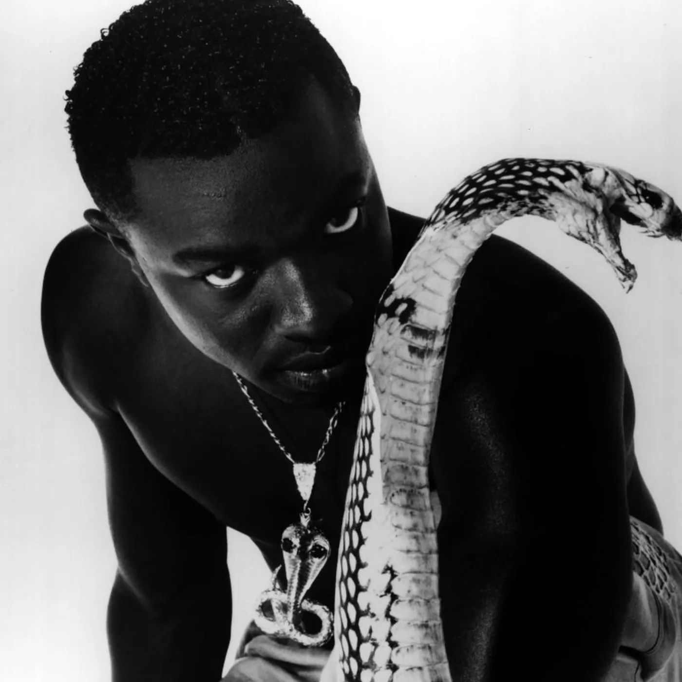 Mad Cobra Brand Page